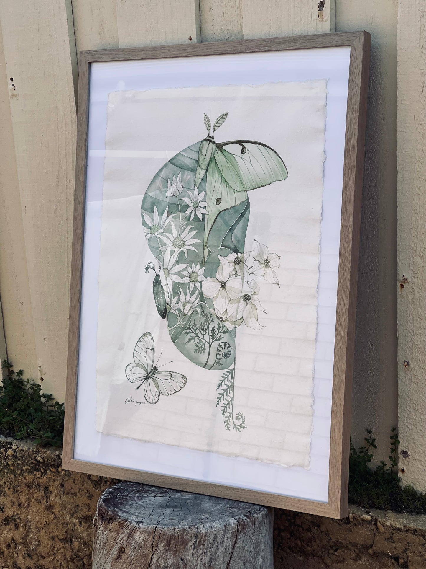 Spring Cocoon original illustration