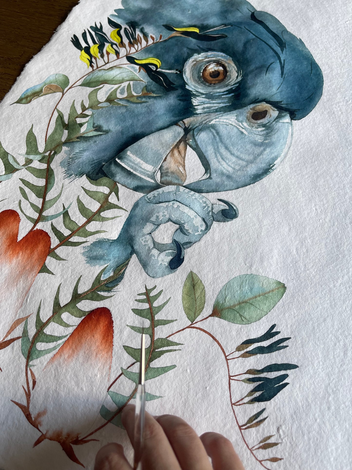 Shadow song original illustration