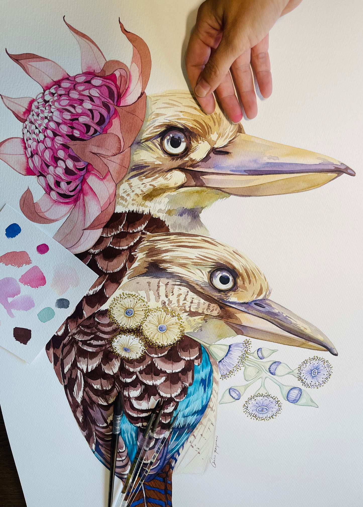 Twinning kookaburras original illustration