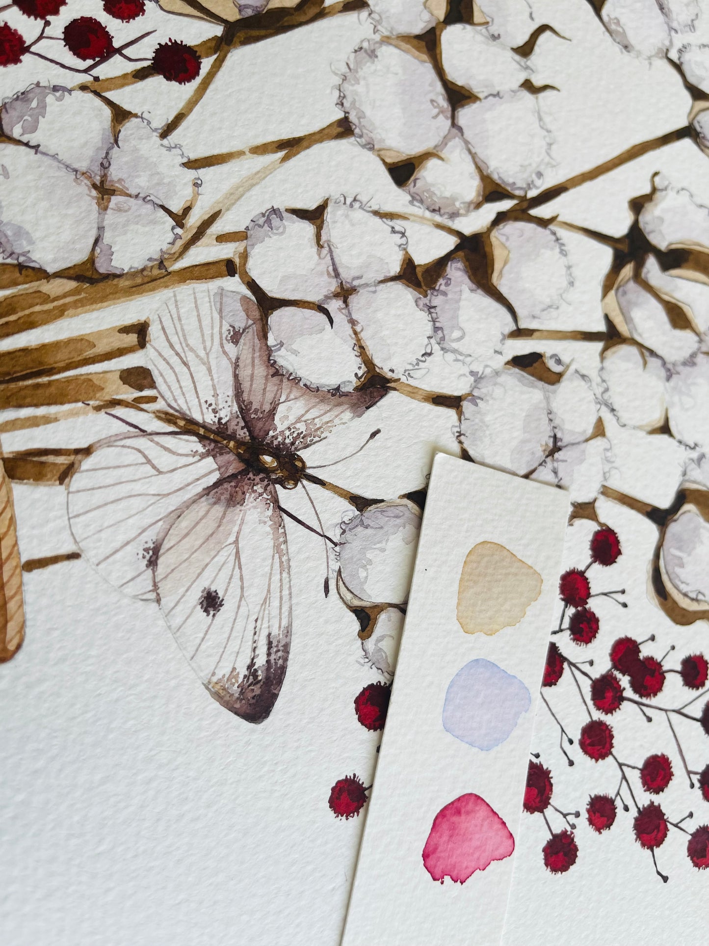 UGG boot & cotton watercolour illustration