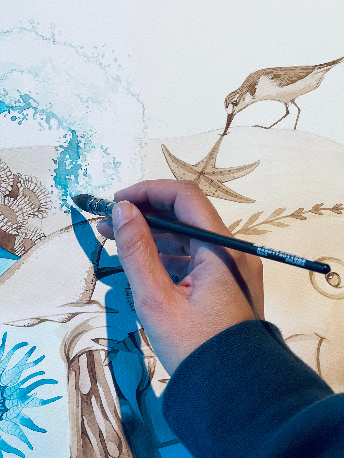 Sea Cow watercolour illustration