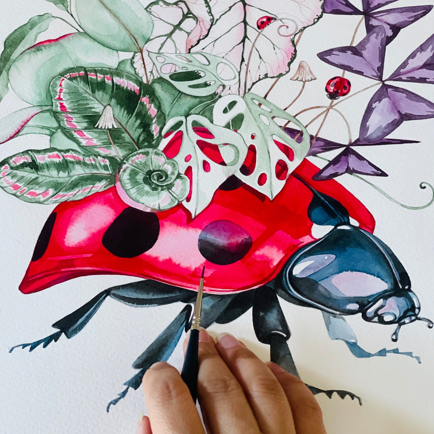 Ladybug watercolour print