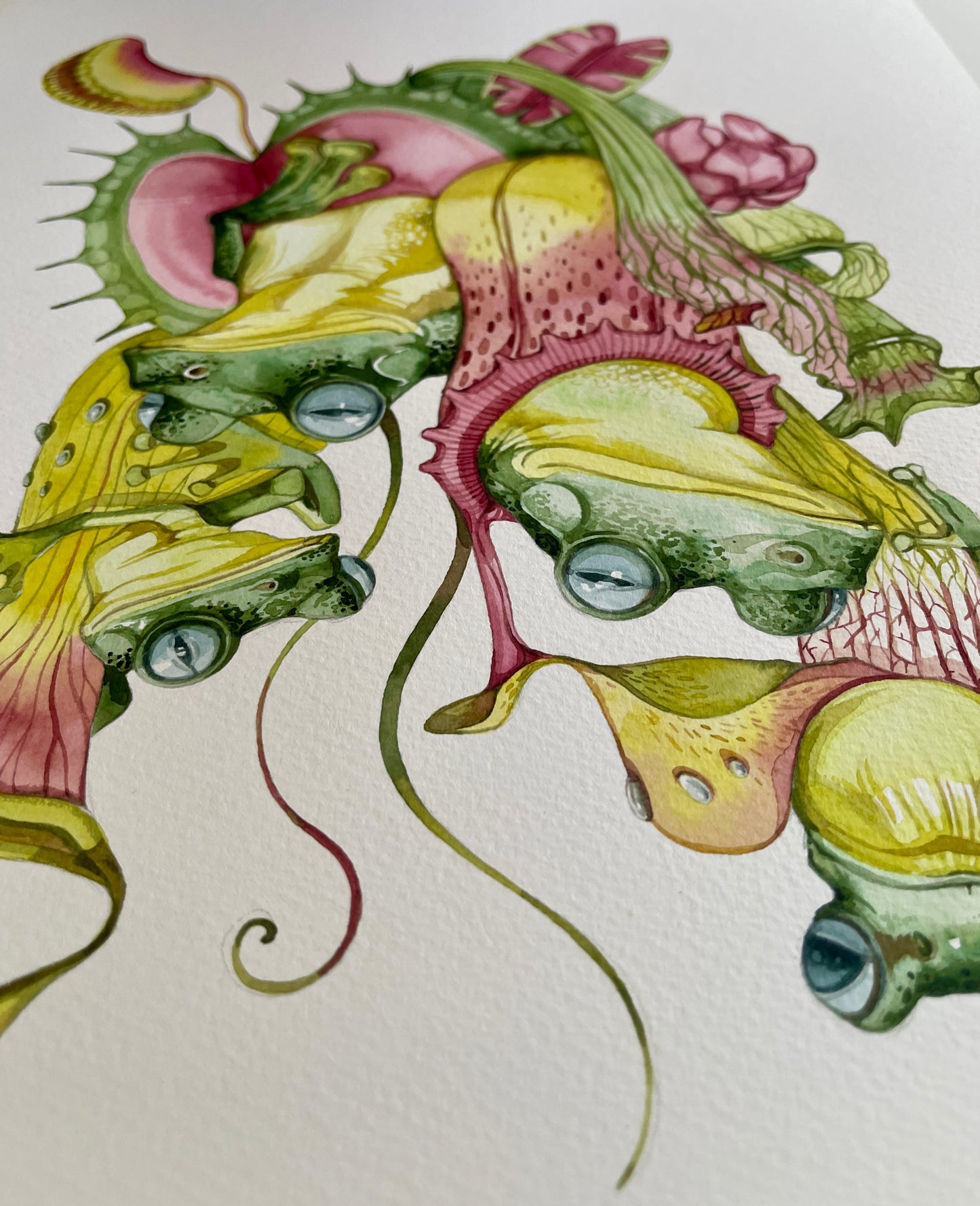 Four frogs watercolour original and prints