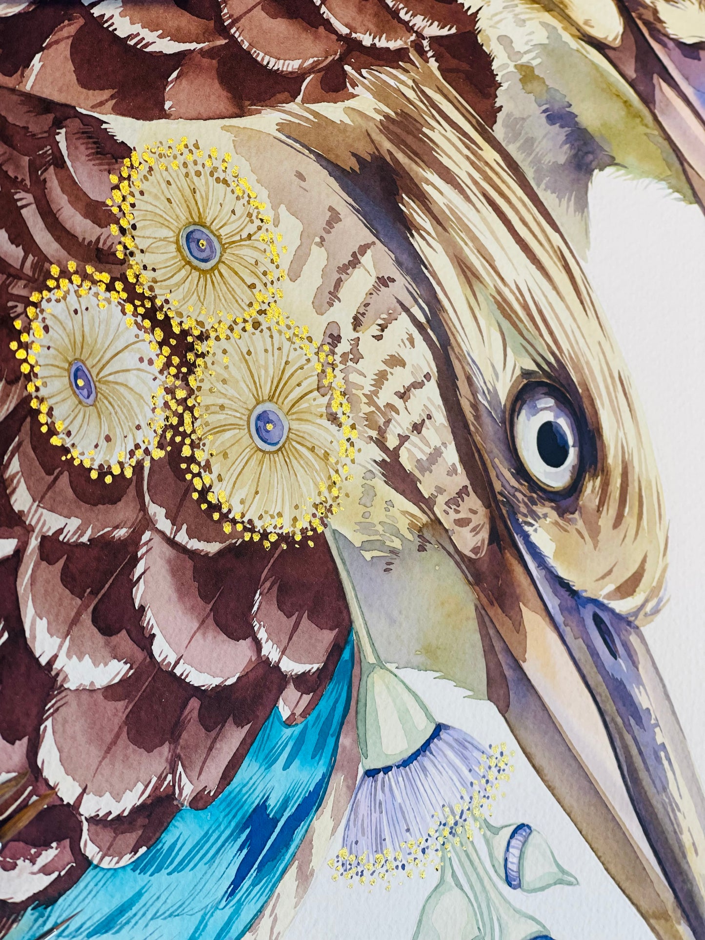 Twinning kookaburras original illustration