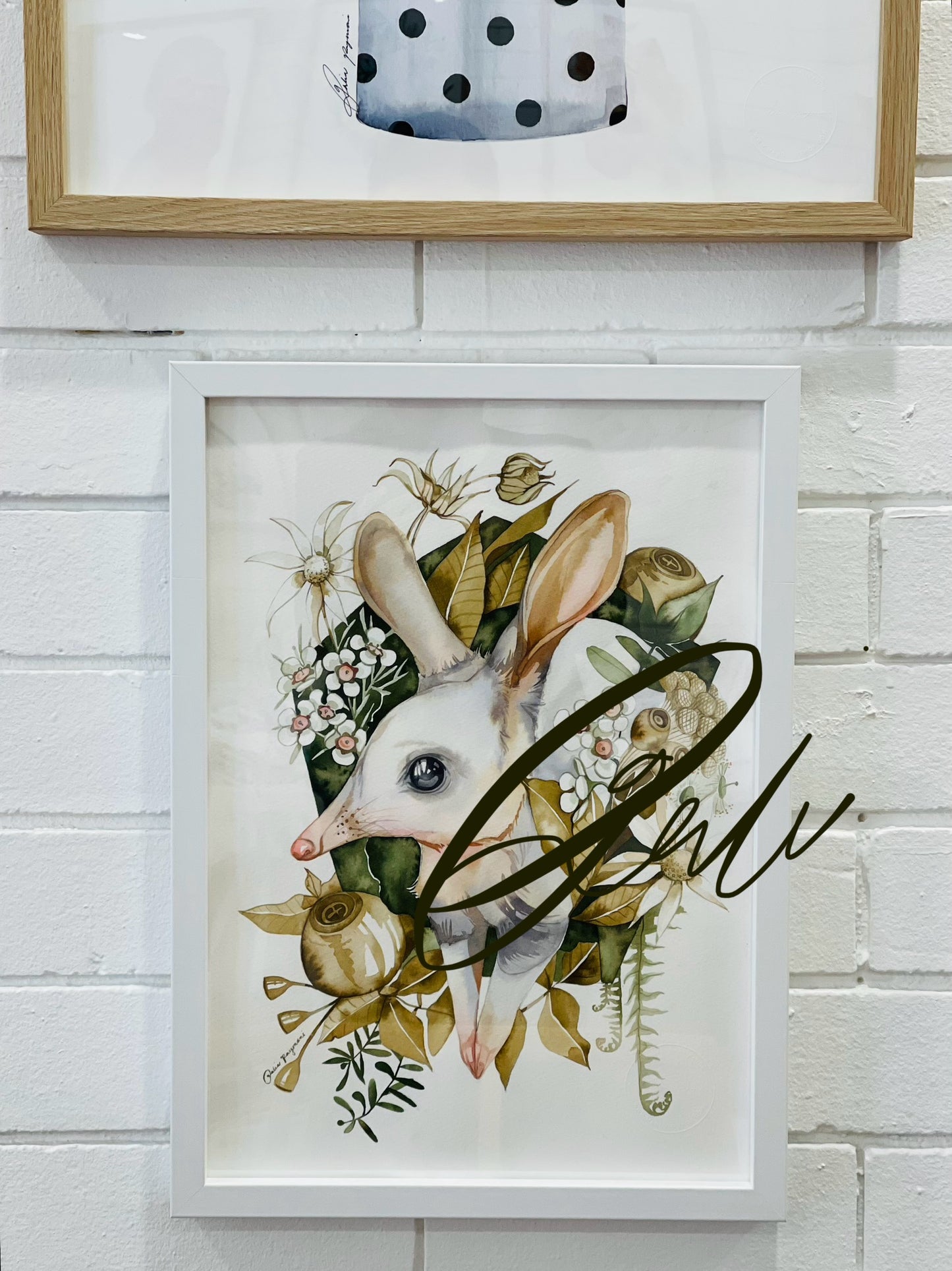 Bilby botanical watercolour illustration