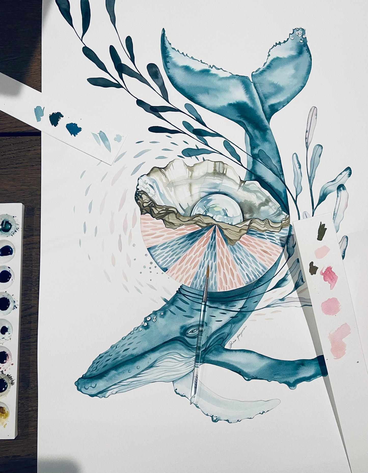 Southern hemisphere whale
original ink illustration