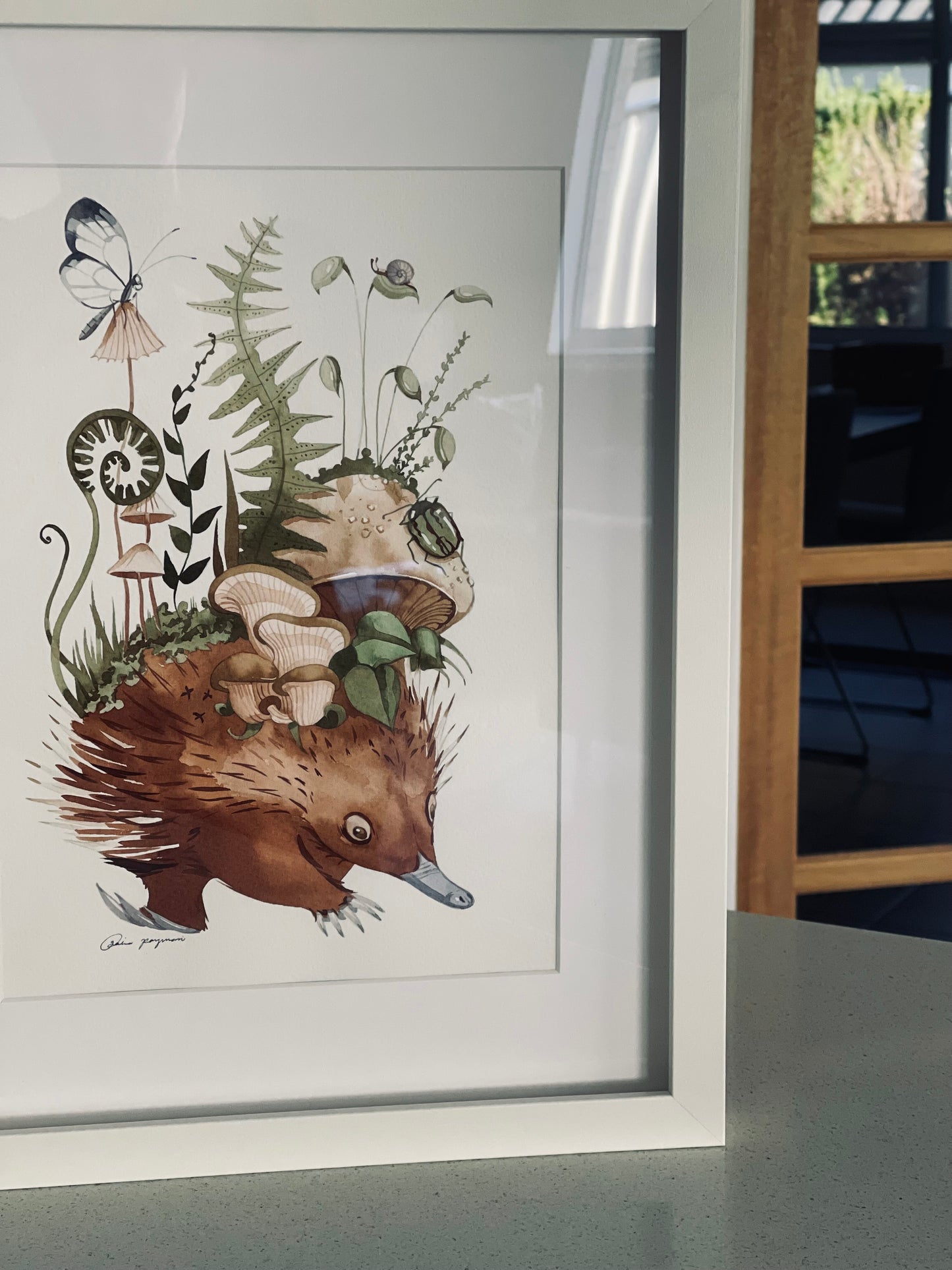 Walking home echidna original + prints