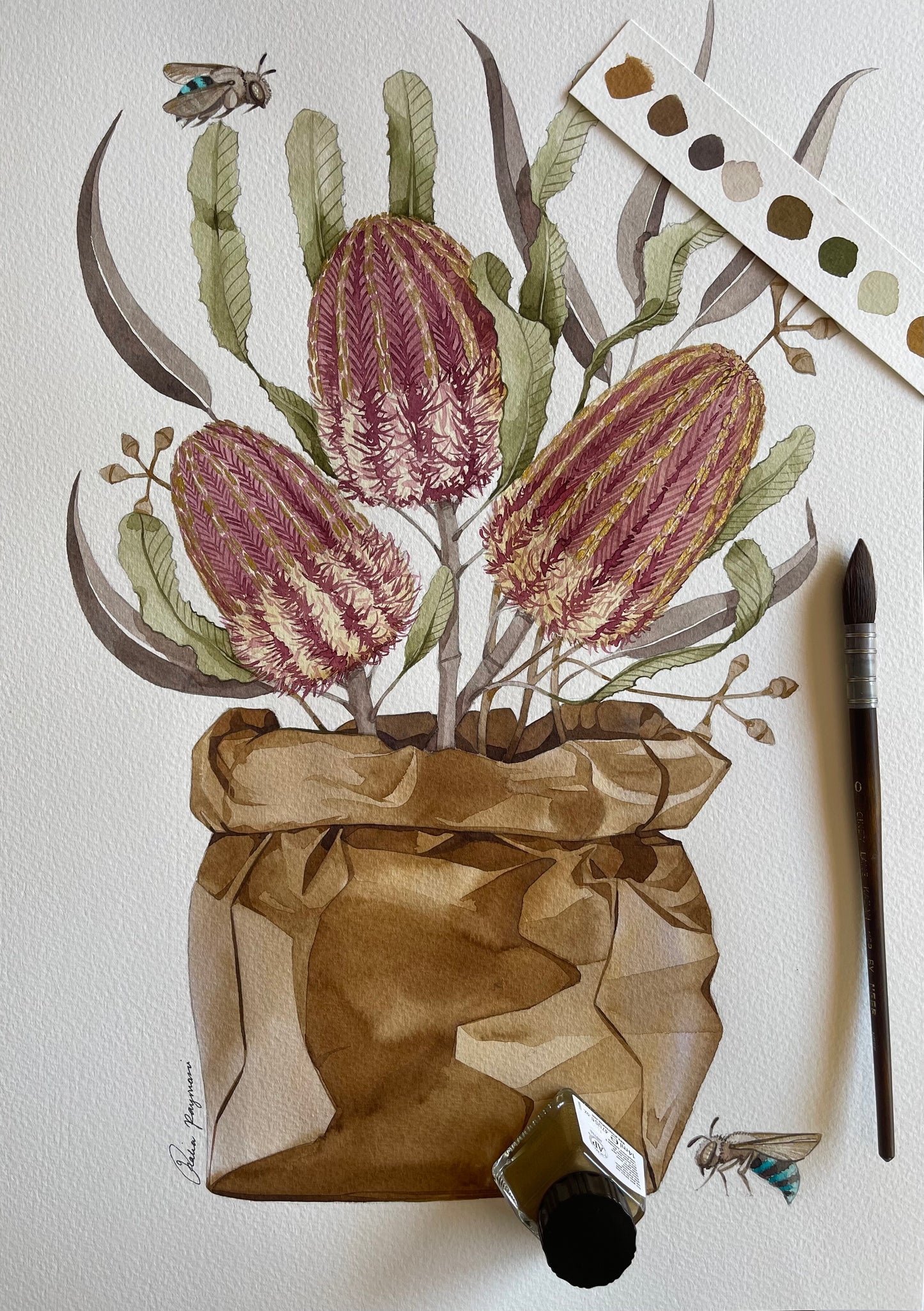 Banksia and bees watercolour illustration