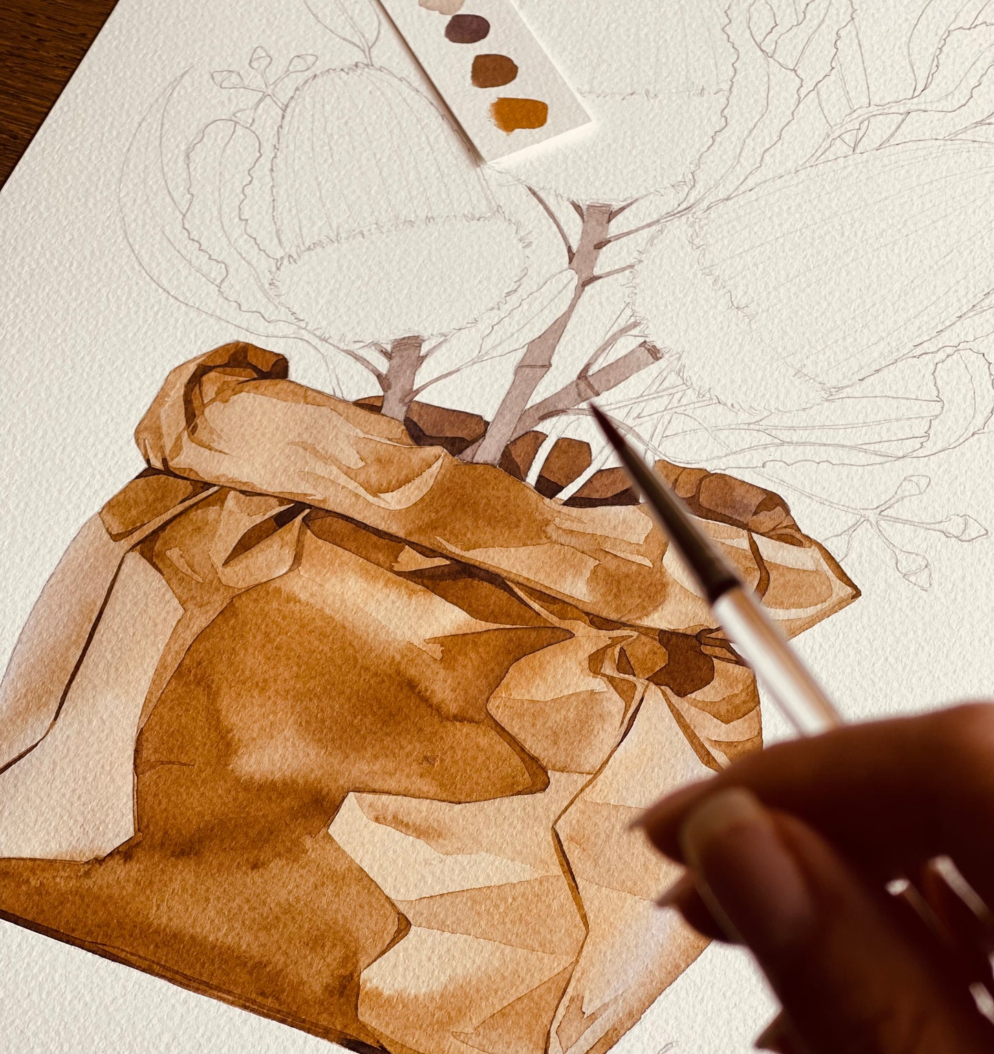 Banksia and bees watercolour illustration