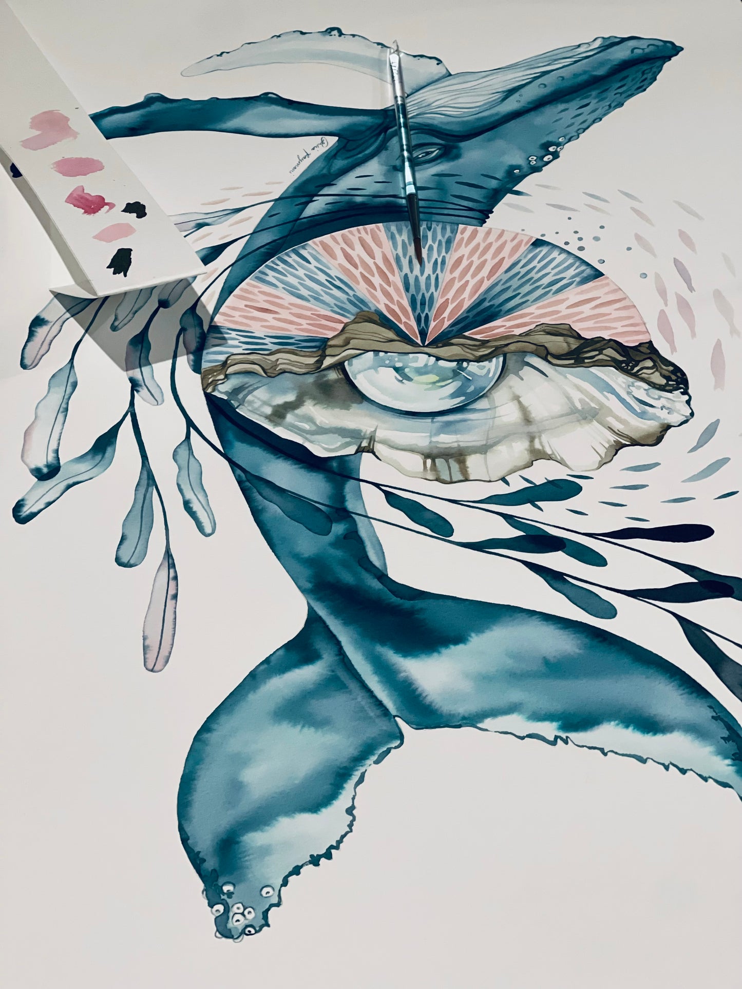 Southern hemisphere whale
original ink illustration