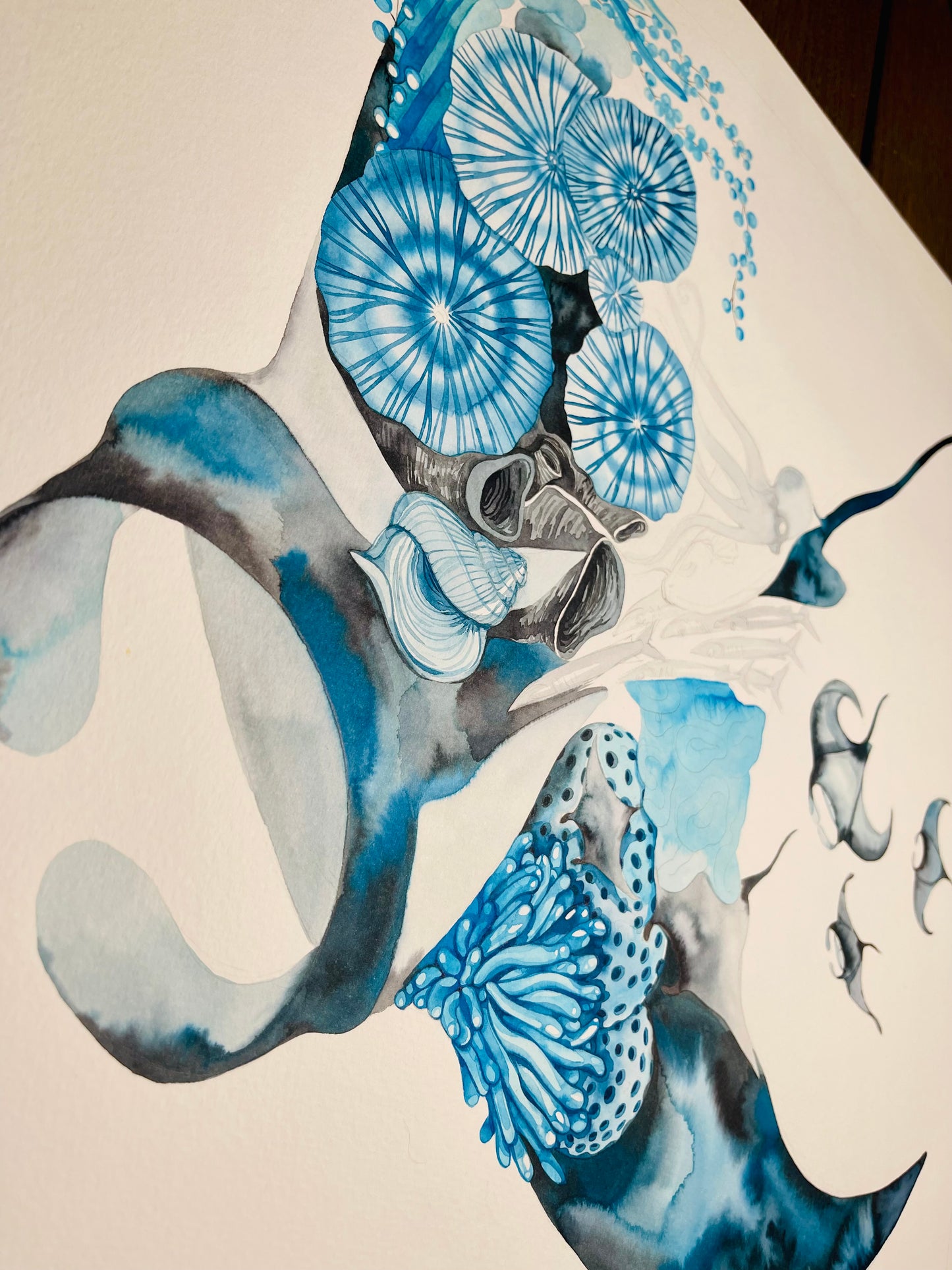 Manta ray original watercolour limited edition prints