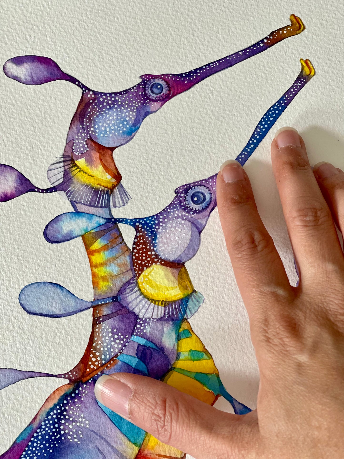 Weedy sea dragons watercolour print