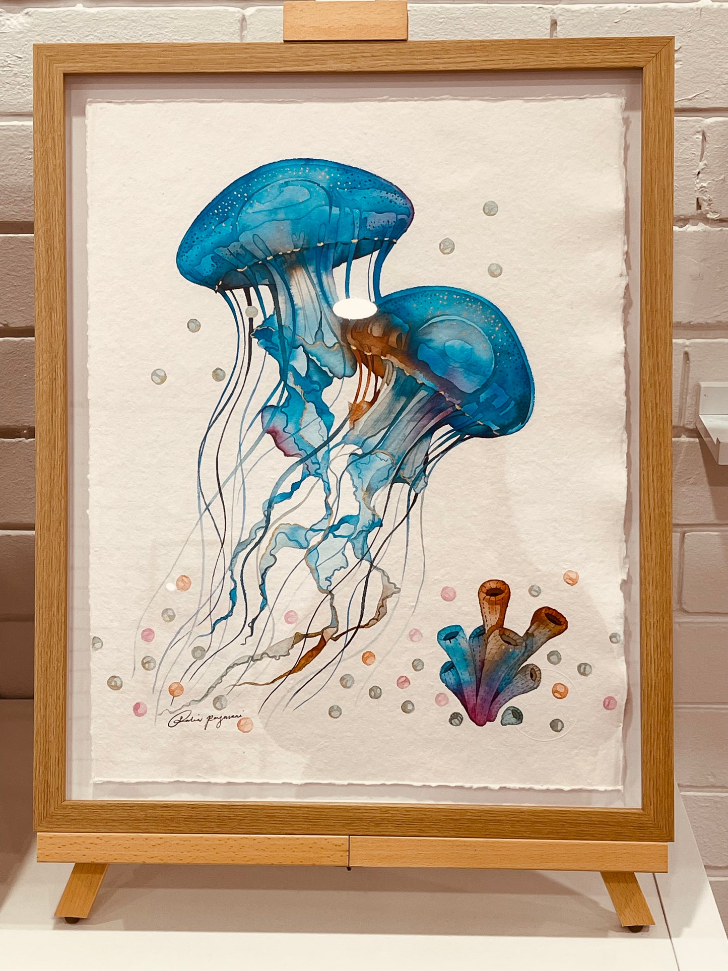 Jellyfish