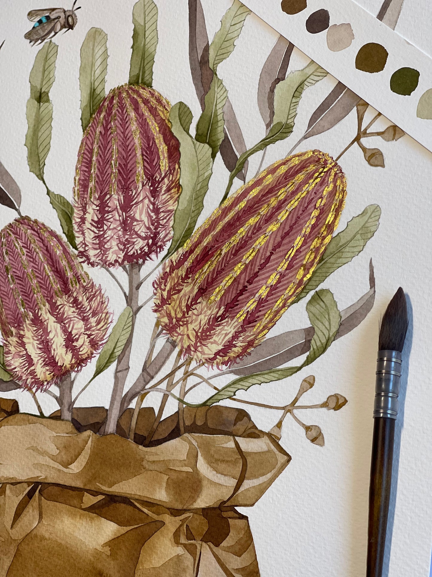 Banksia and bees watercolour illustration