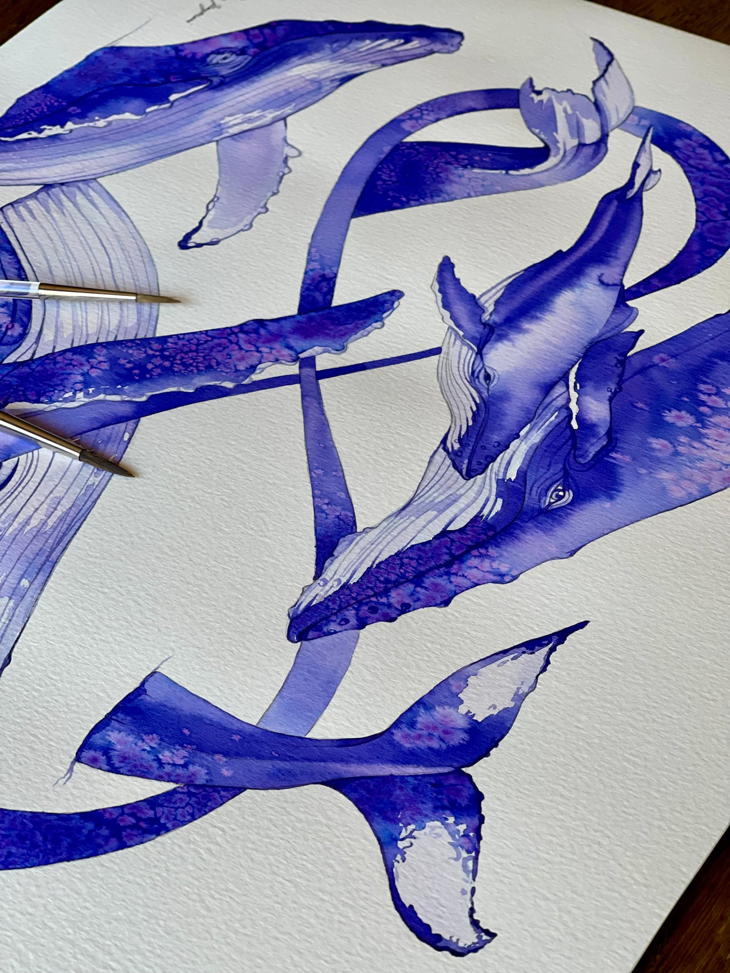 Infinity Whales watercolour illustration