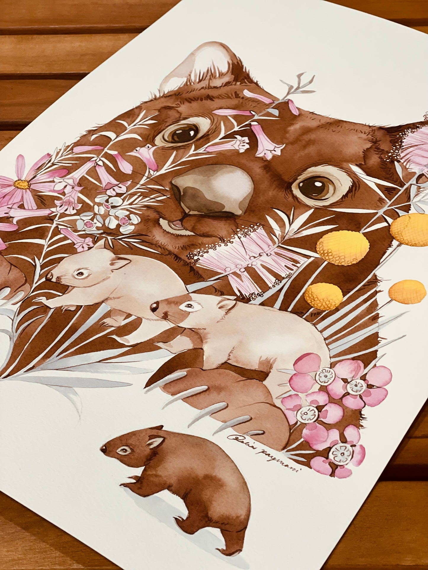 “Where have all the wombats gone?” watercolour illustration