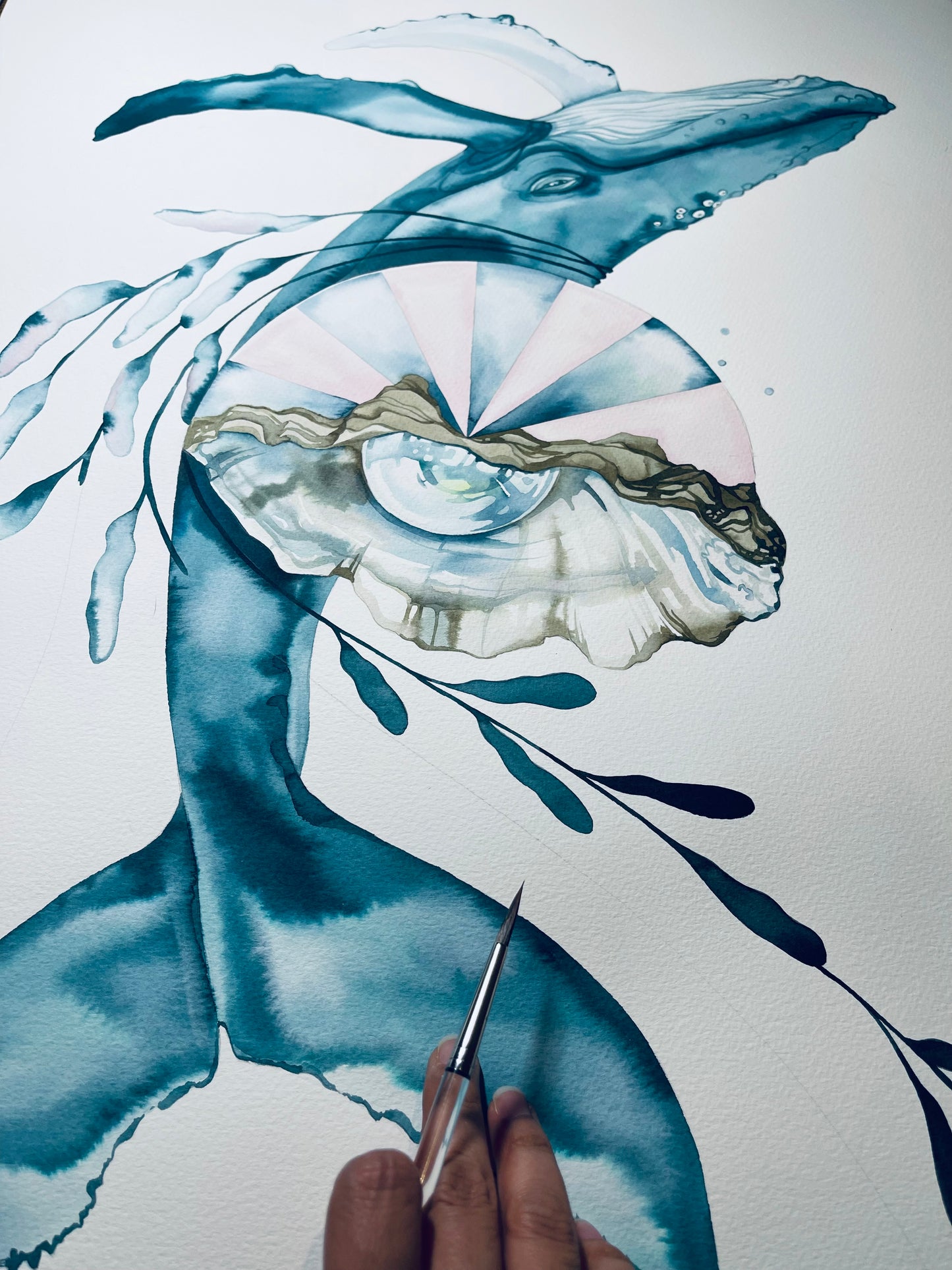 Southern hemisphere whale
original ink illustration
