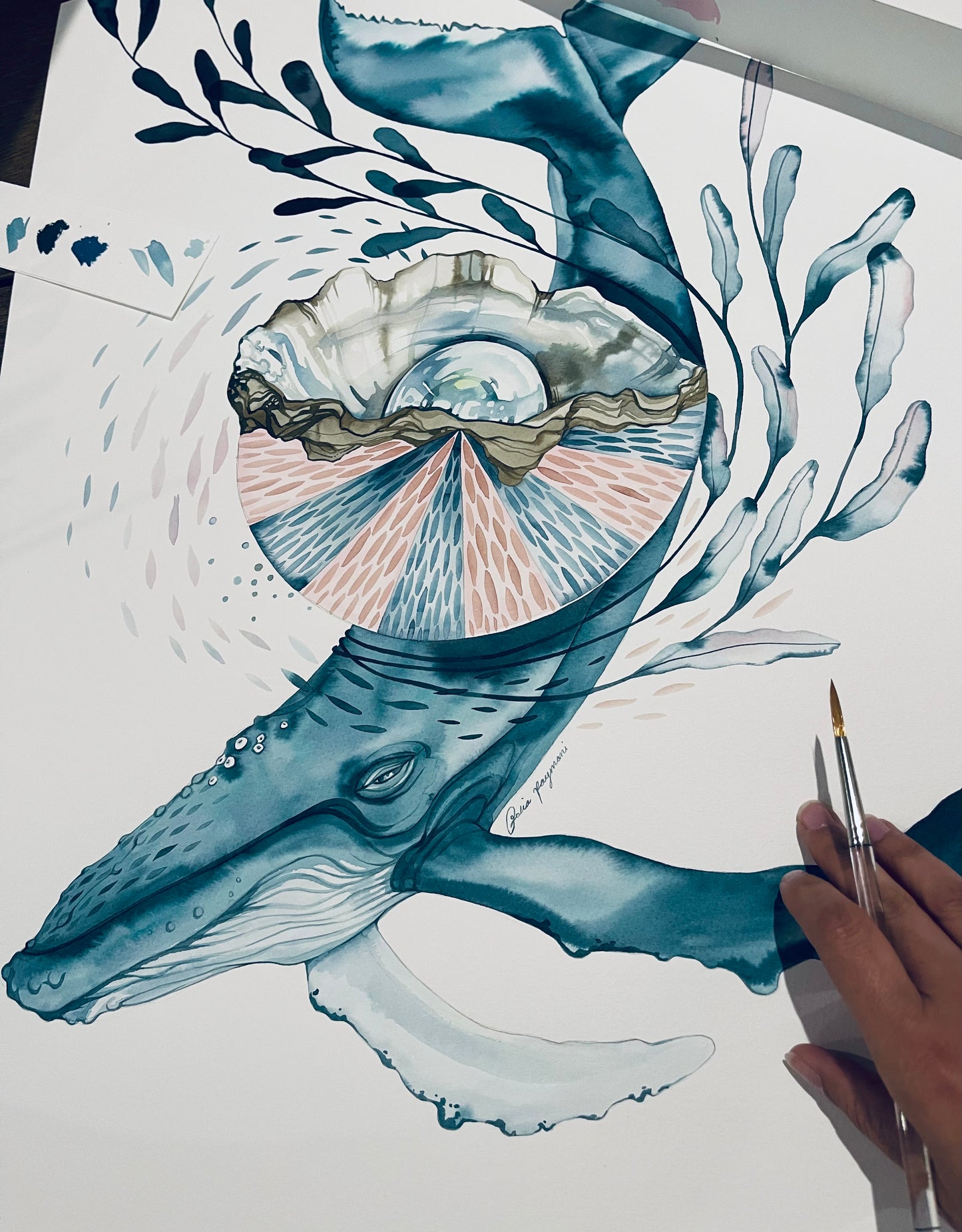 Southern hemisphere whale
original ink illustration