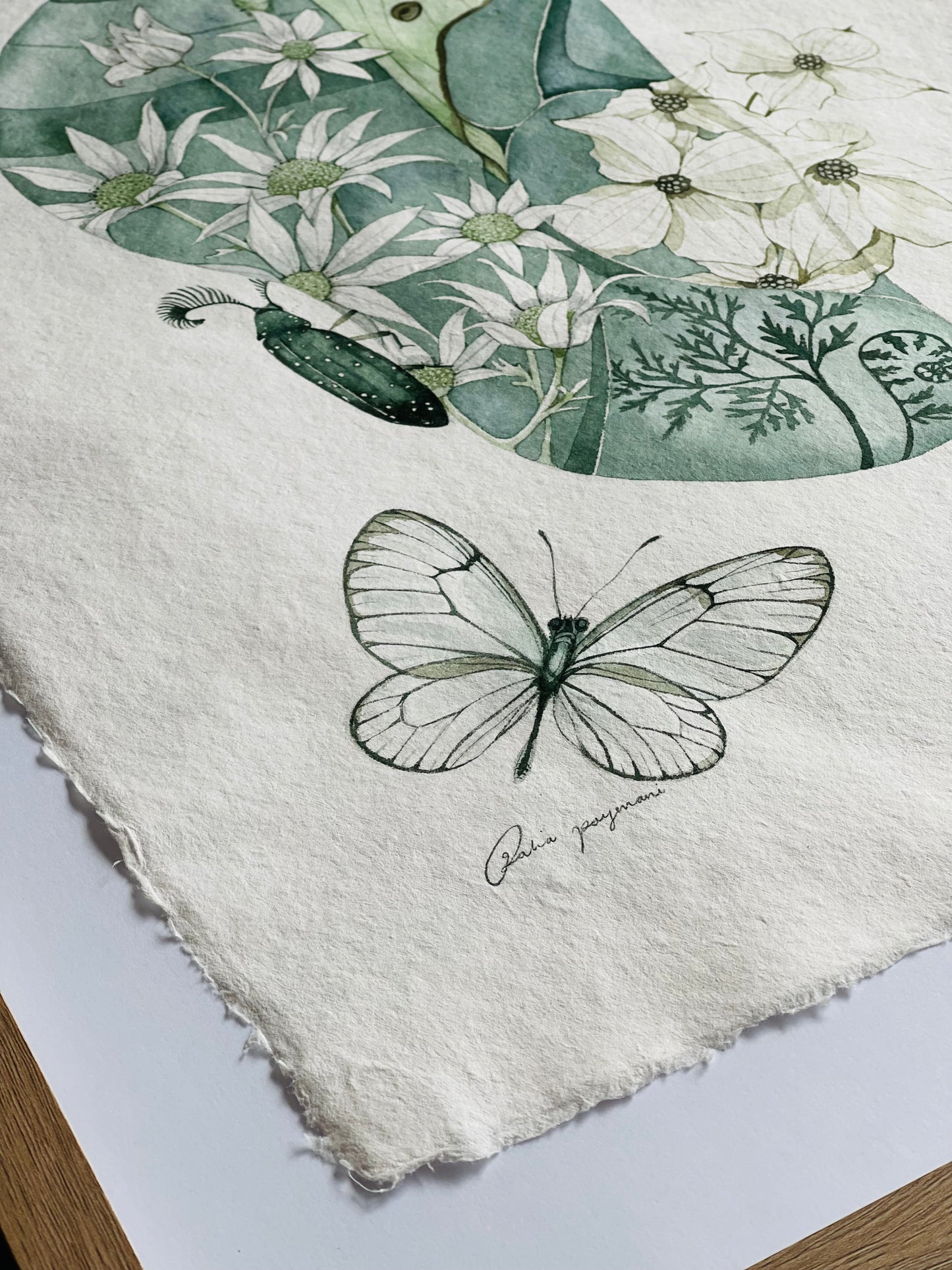 Spring Cocoon original illustration