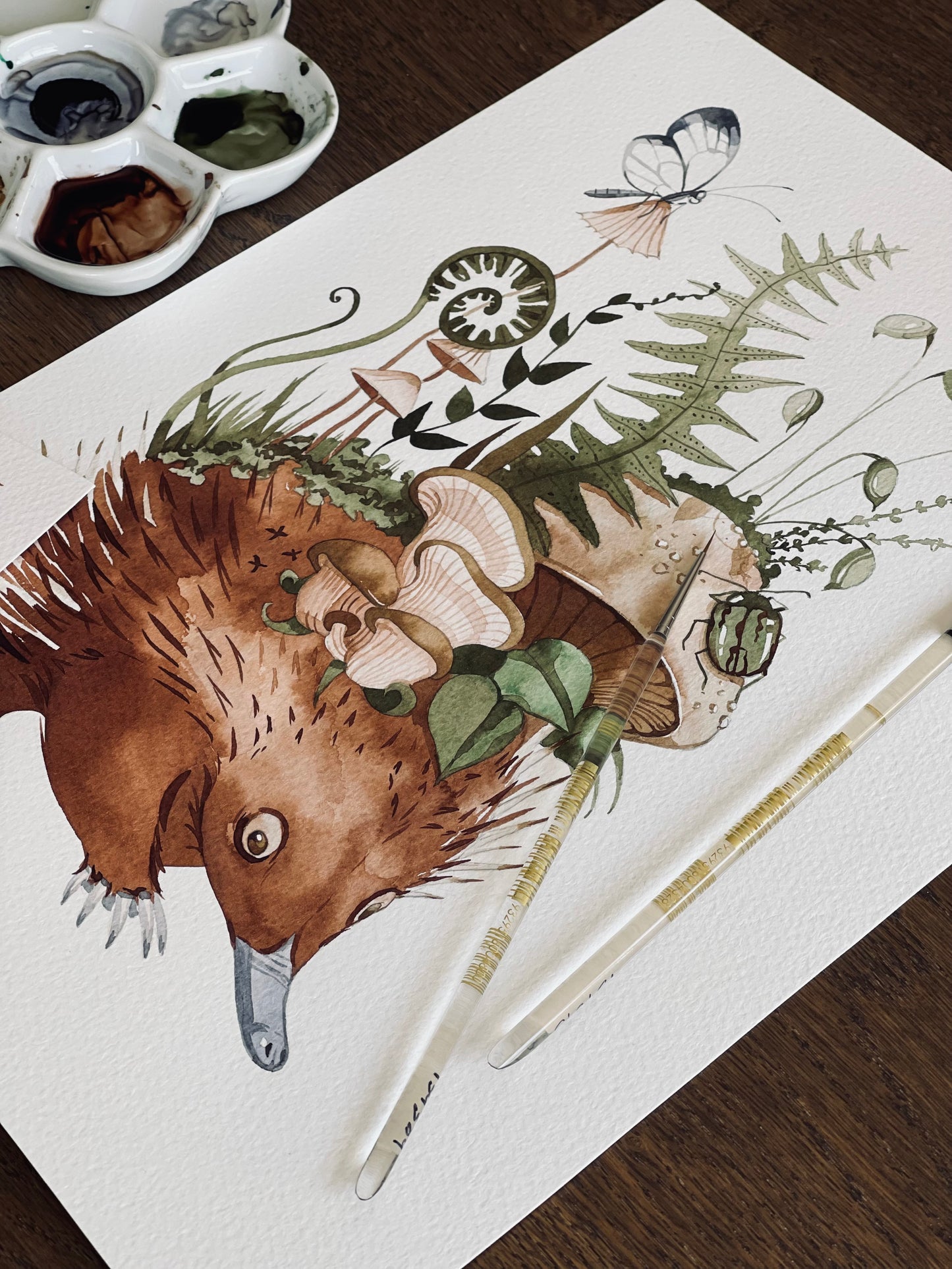 Walking home echidna original + prints