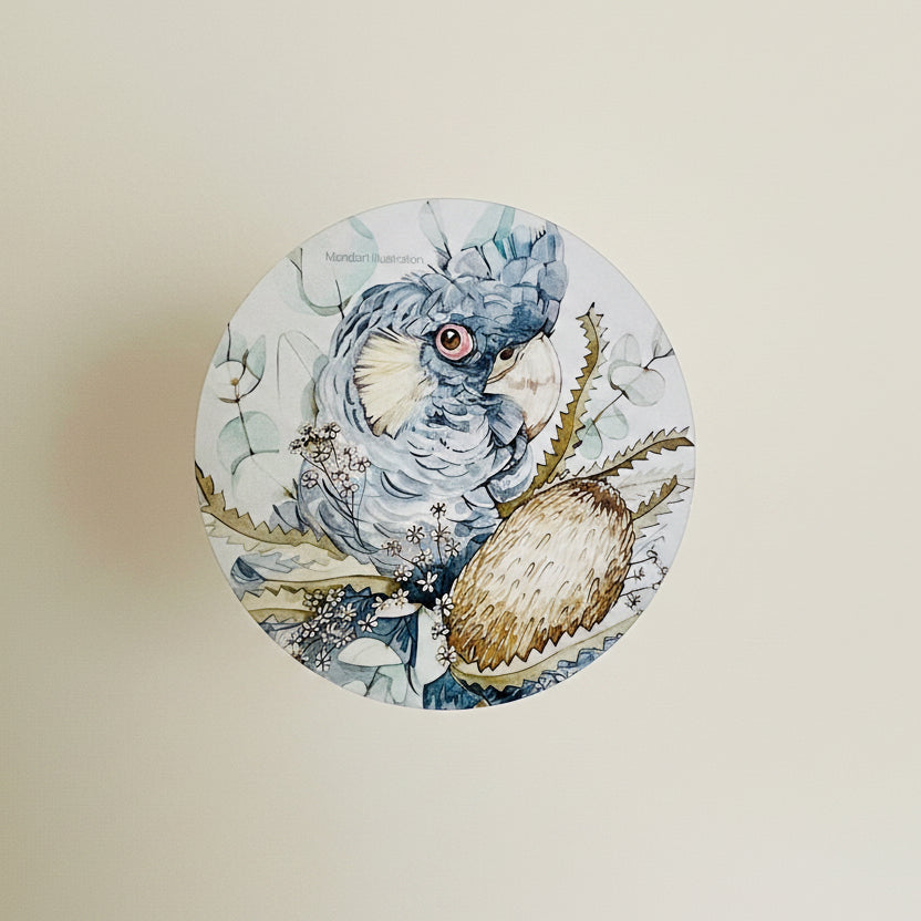 Red tail black cockatoo coasters