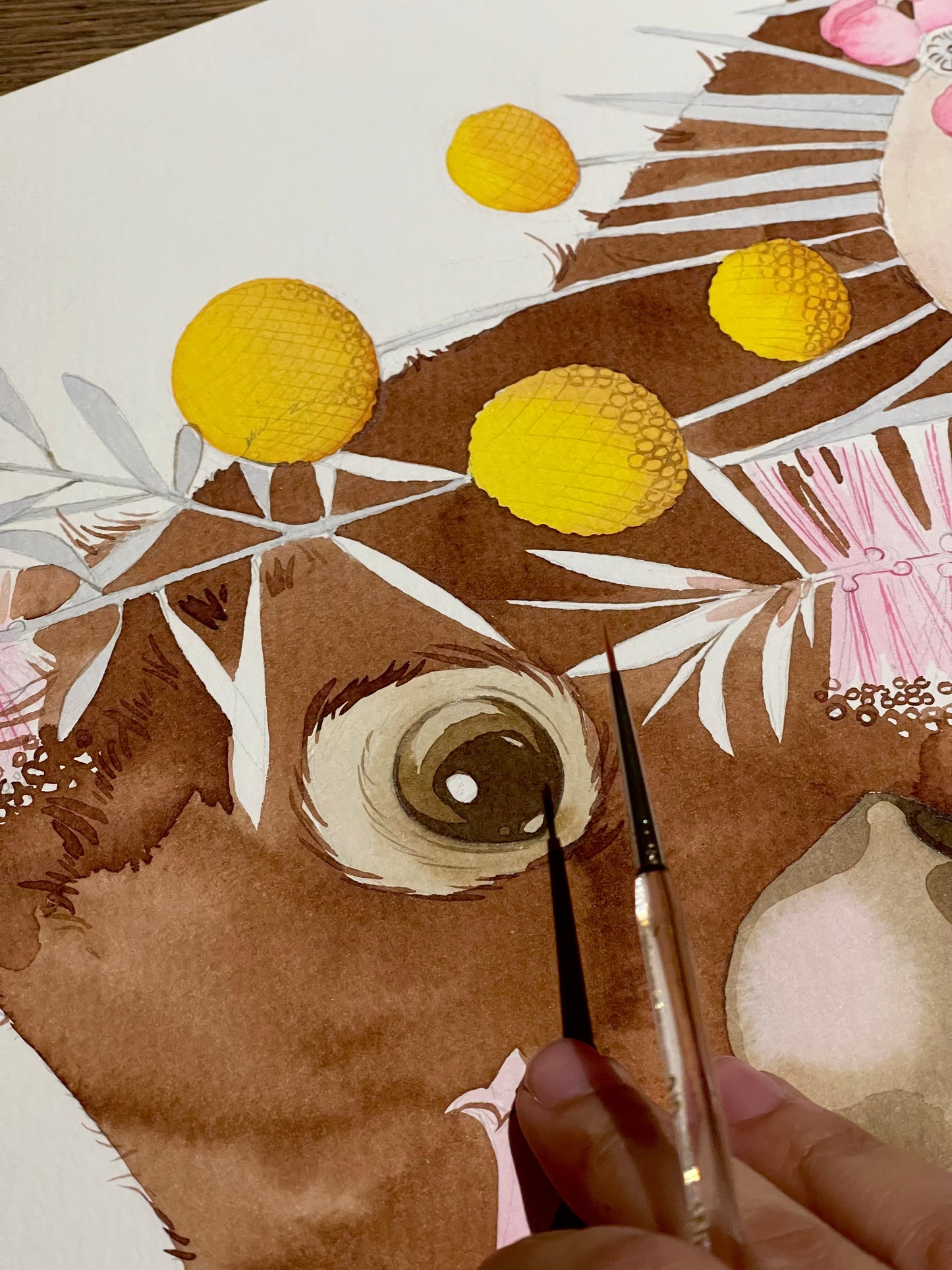“Where have all the wombats gone?” watercolour illustration