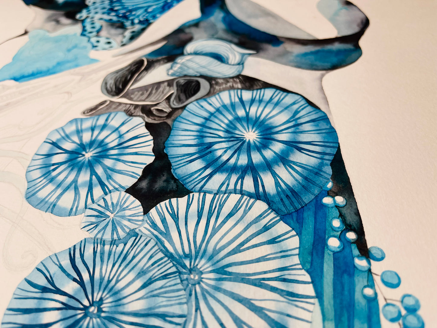 Manta ray original watercolour limited edition prints