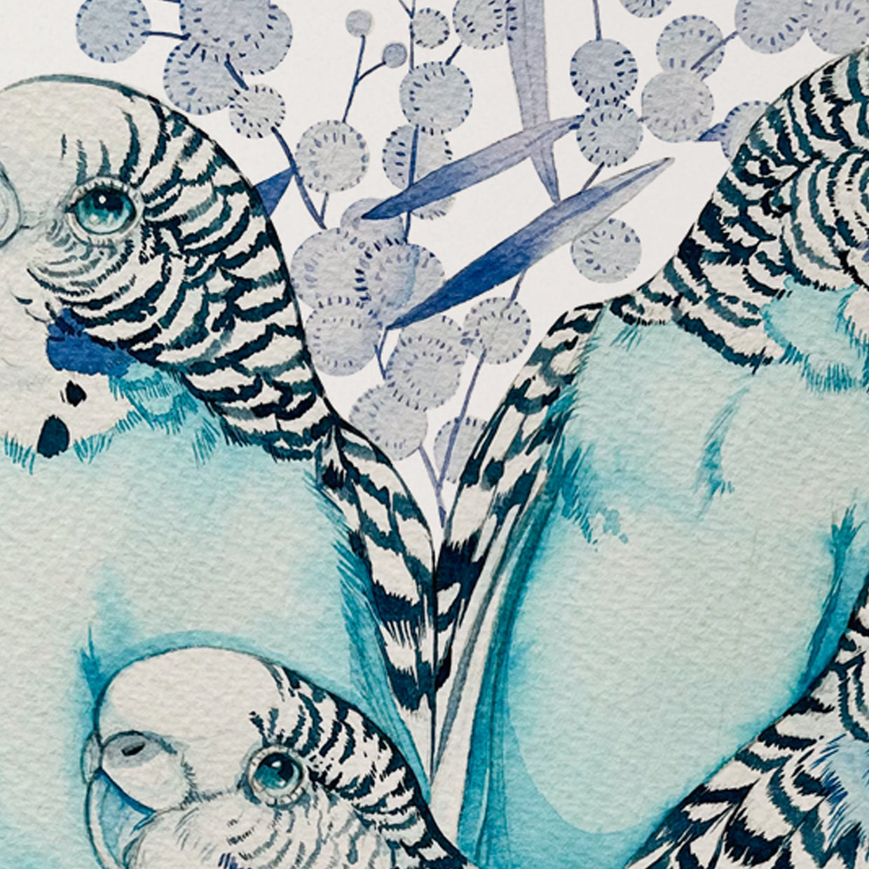 Bunch of budgies watercolour illustration print