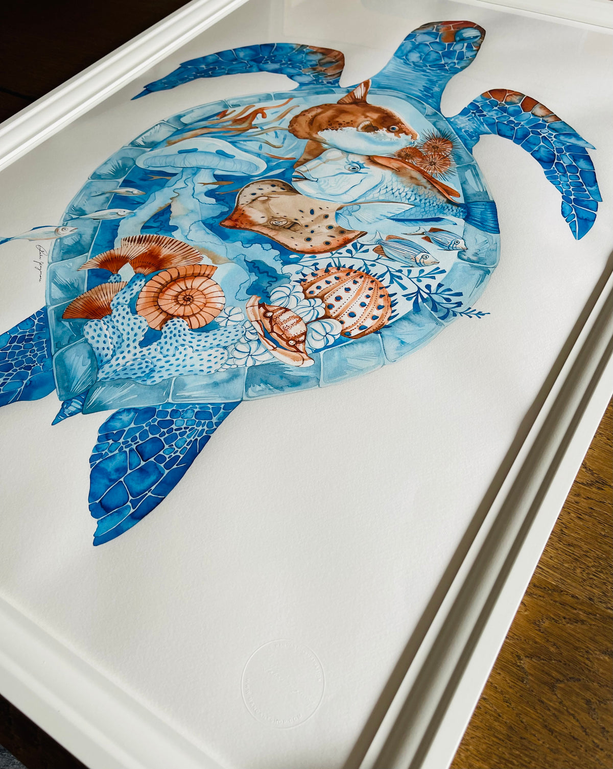 Every shell holds a story original illustration