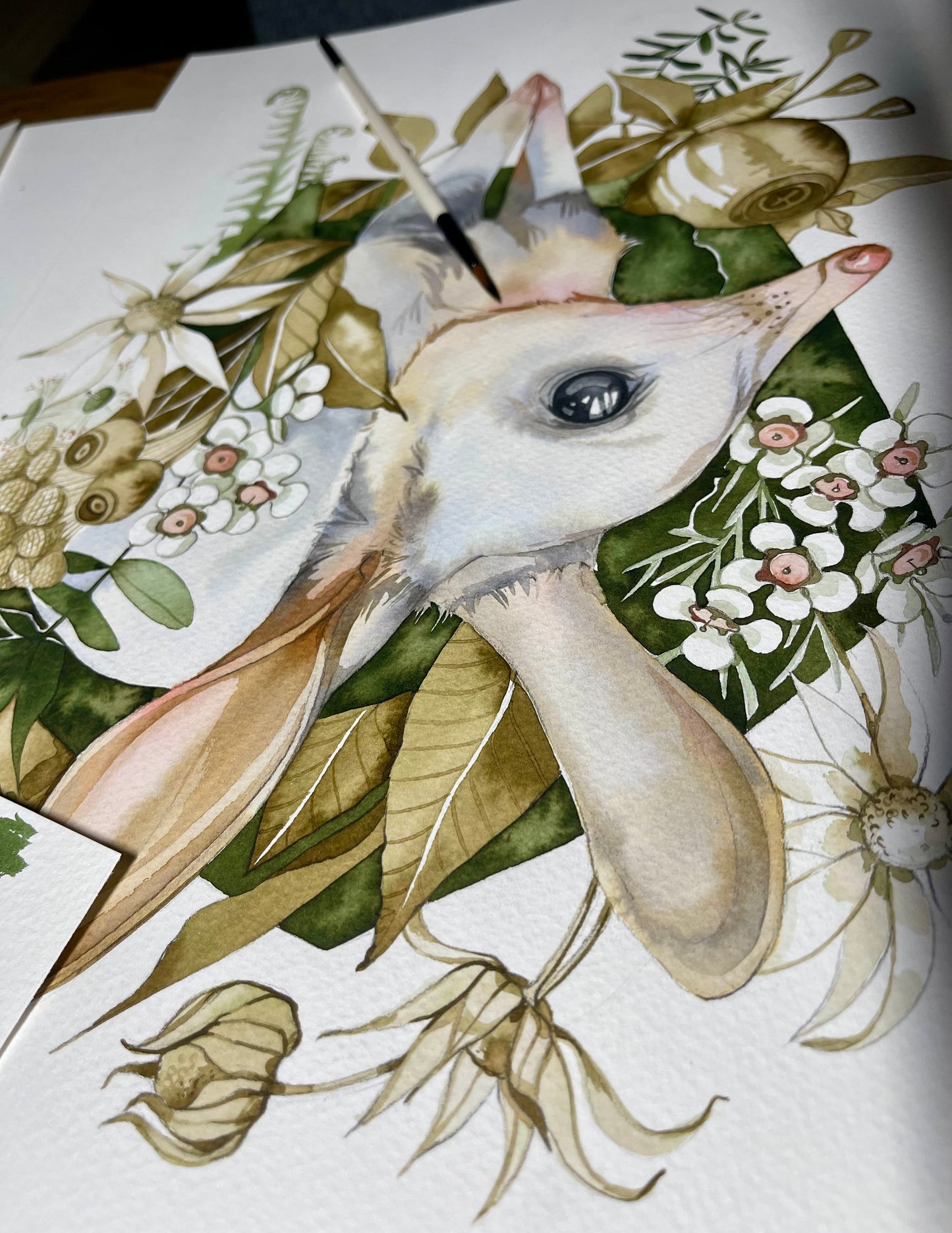 Bilby botanical watercolour illustration