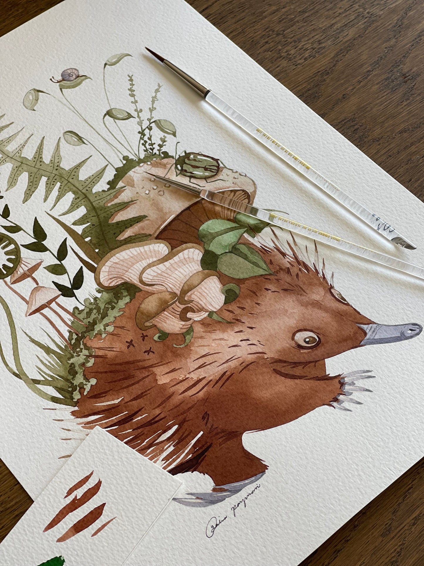 Walking home echidna original + prints