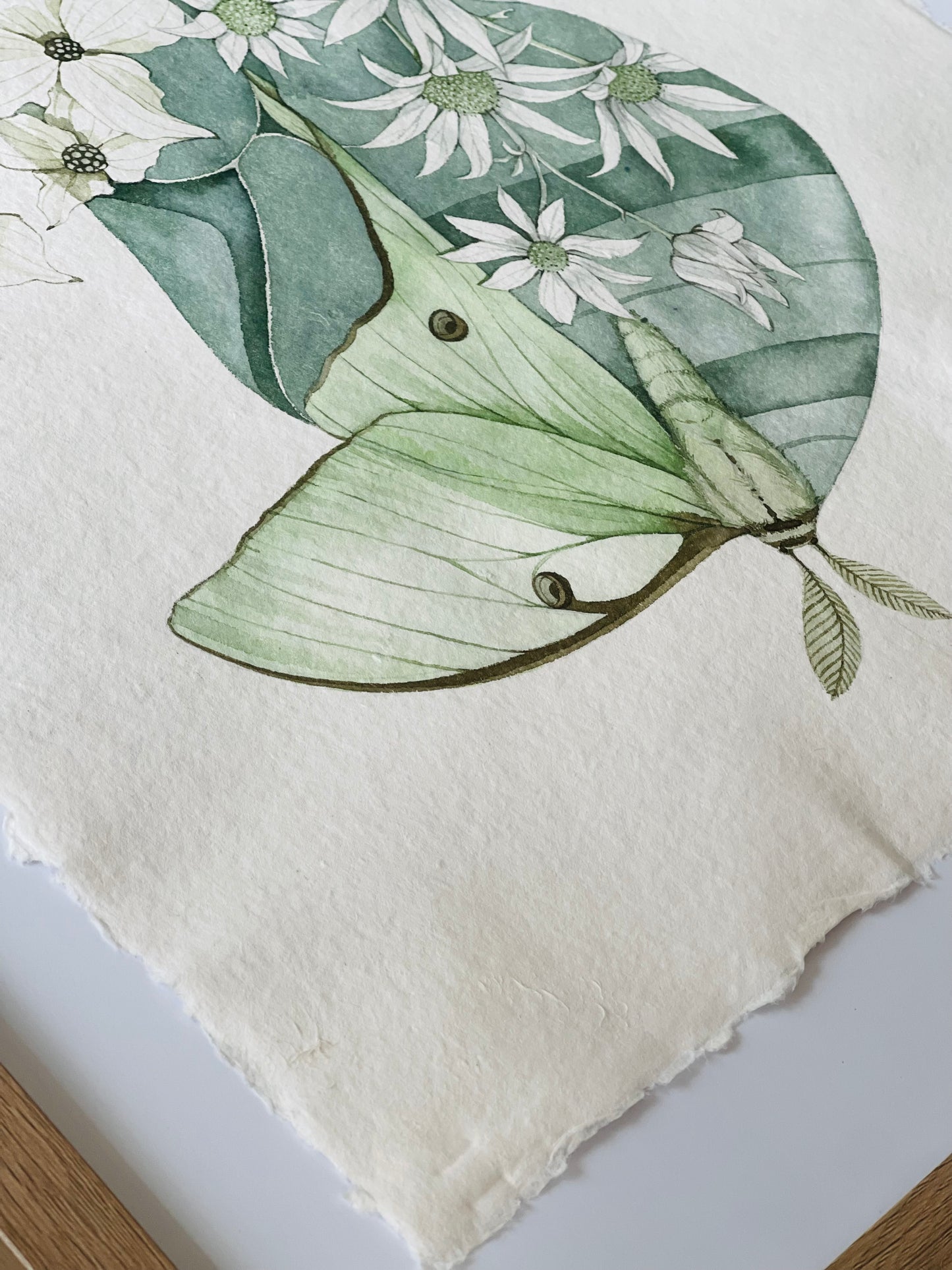 Spring Cocoon original illustration