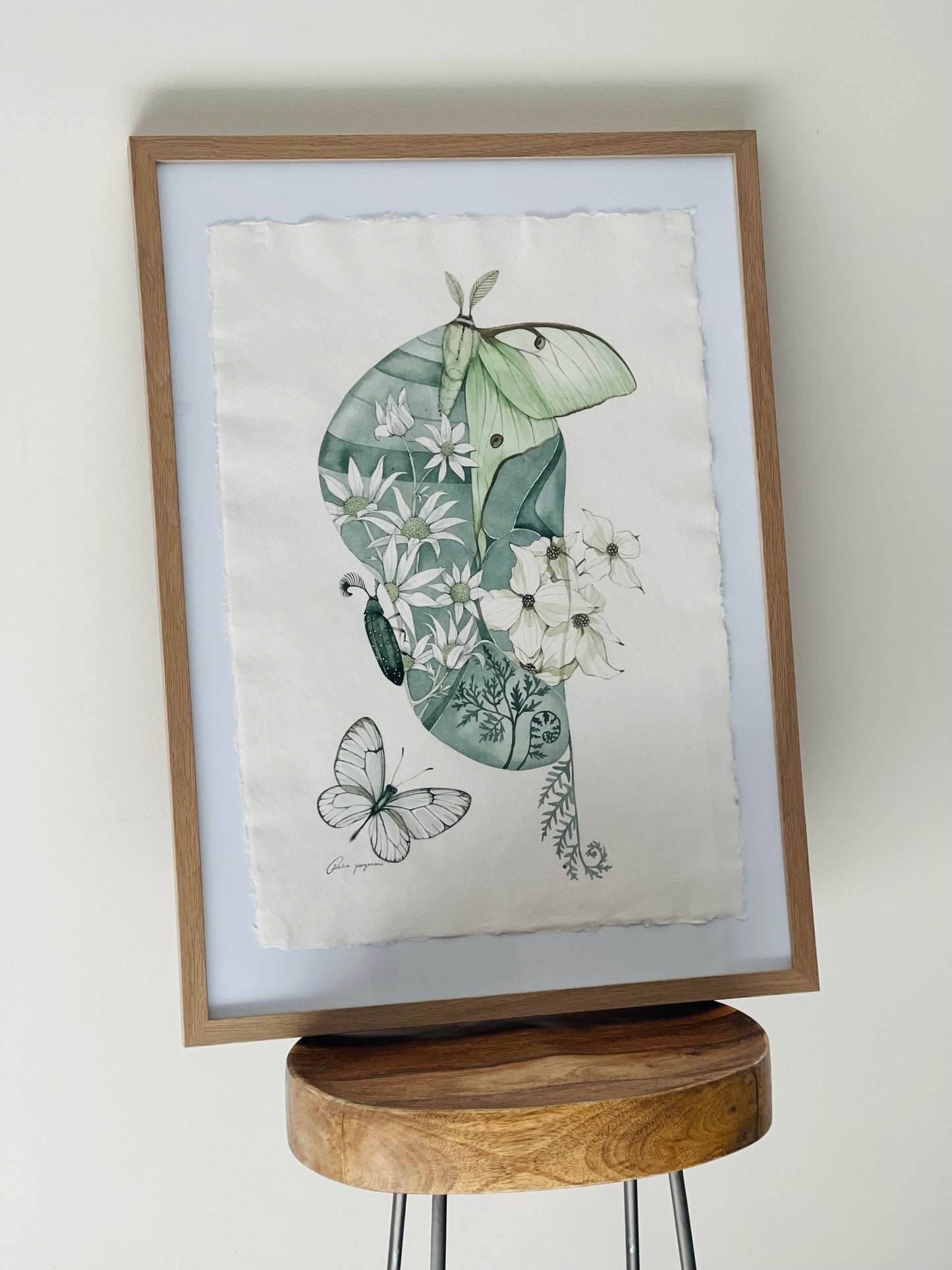 Spring Cocoon original illustration
