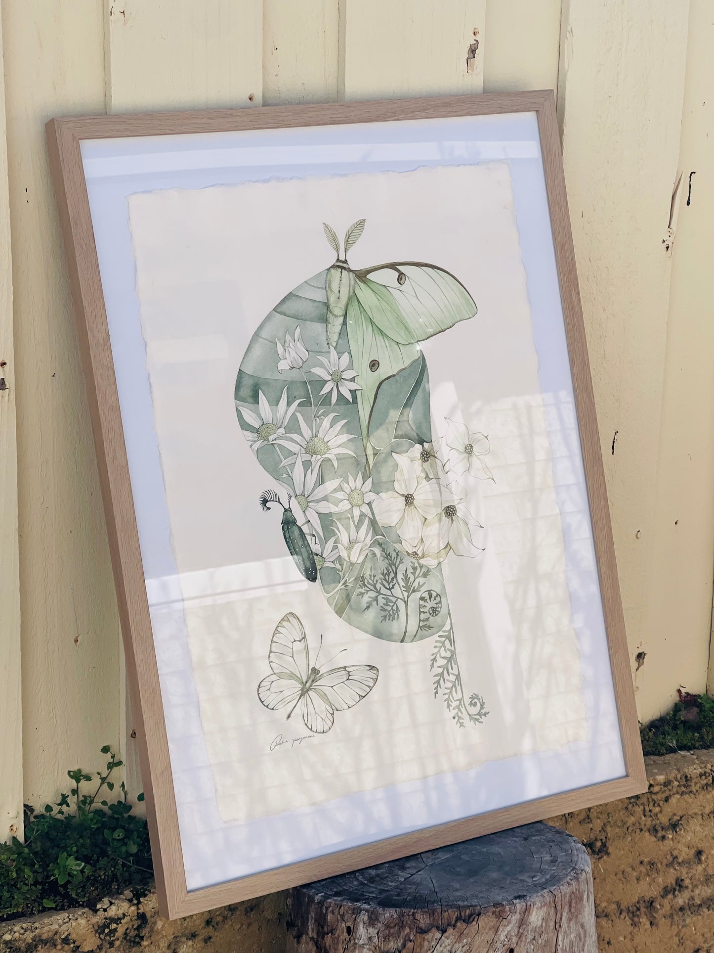 Spring Cocoon original illustration