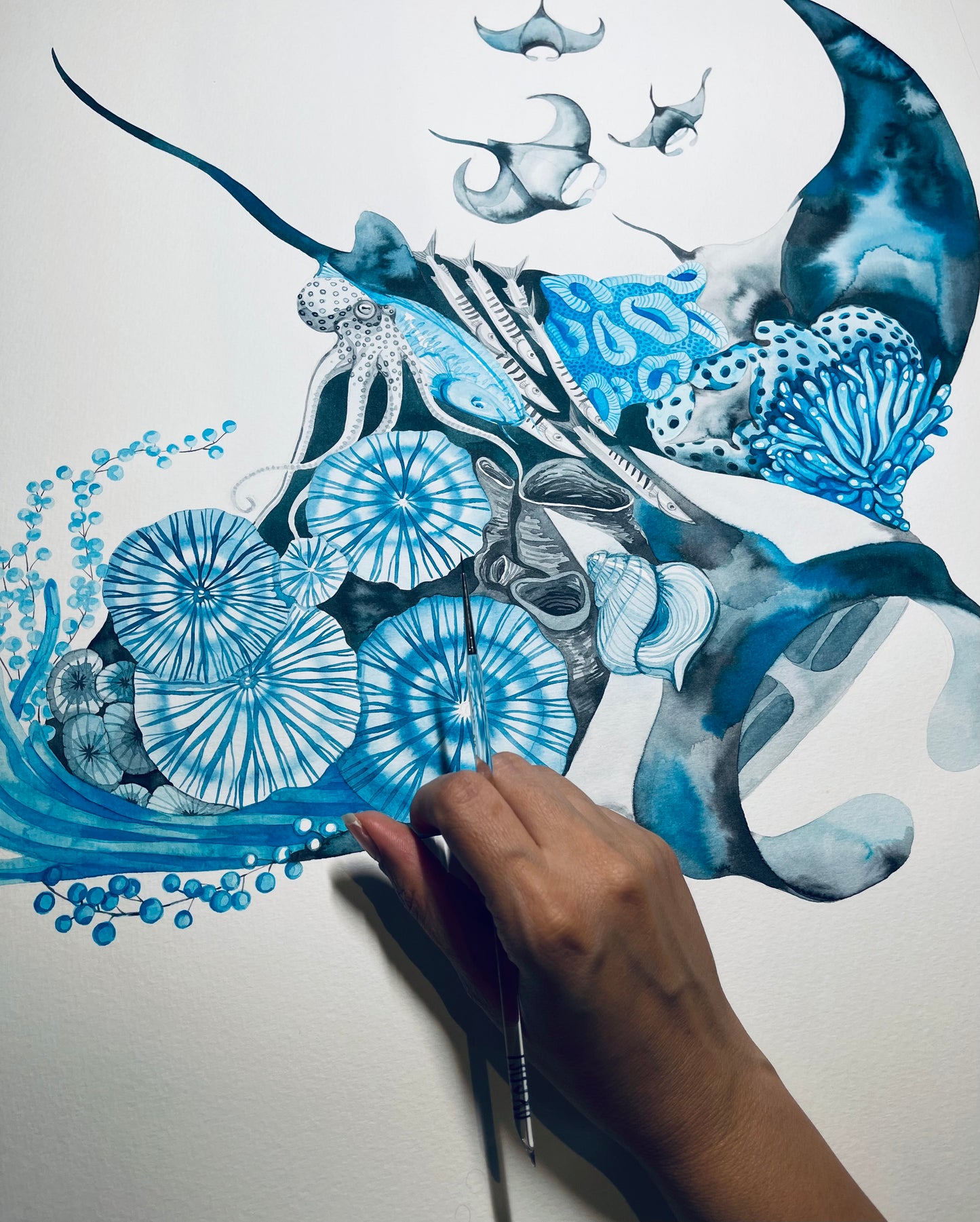 Manta ray original watercolour limited edition prints