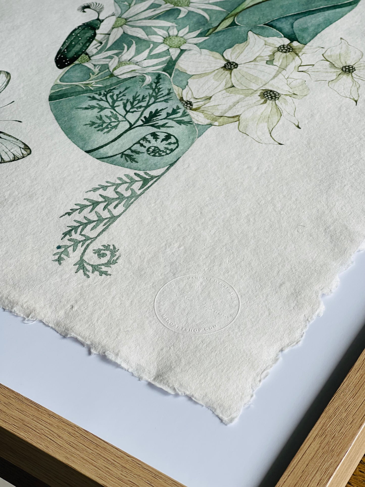Spring Cocoon original illustration
