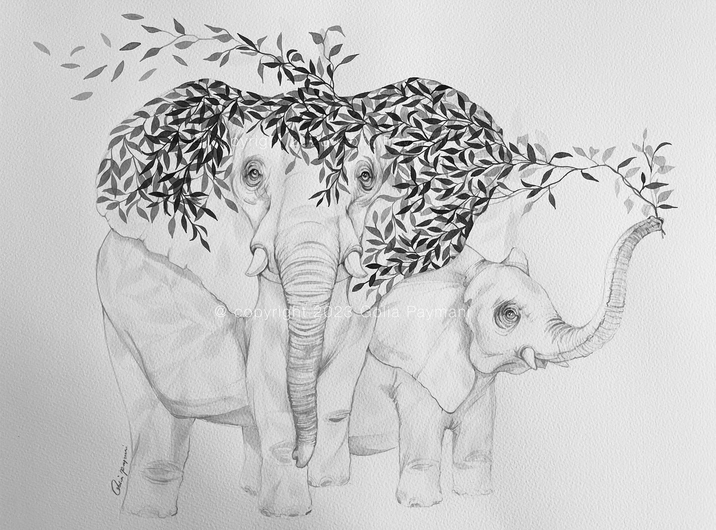 Elephant & Calf original pencil & ink illustration