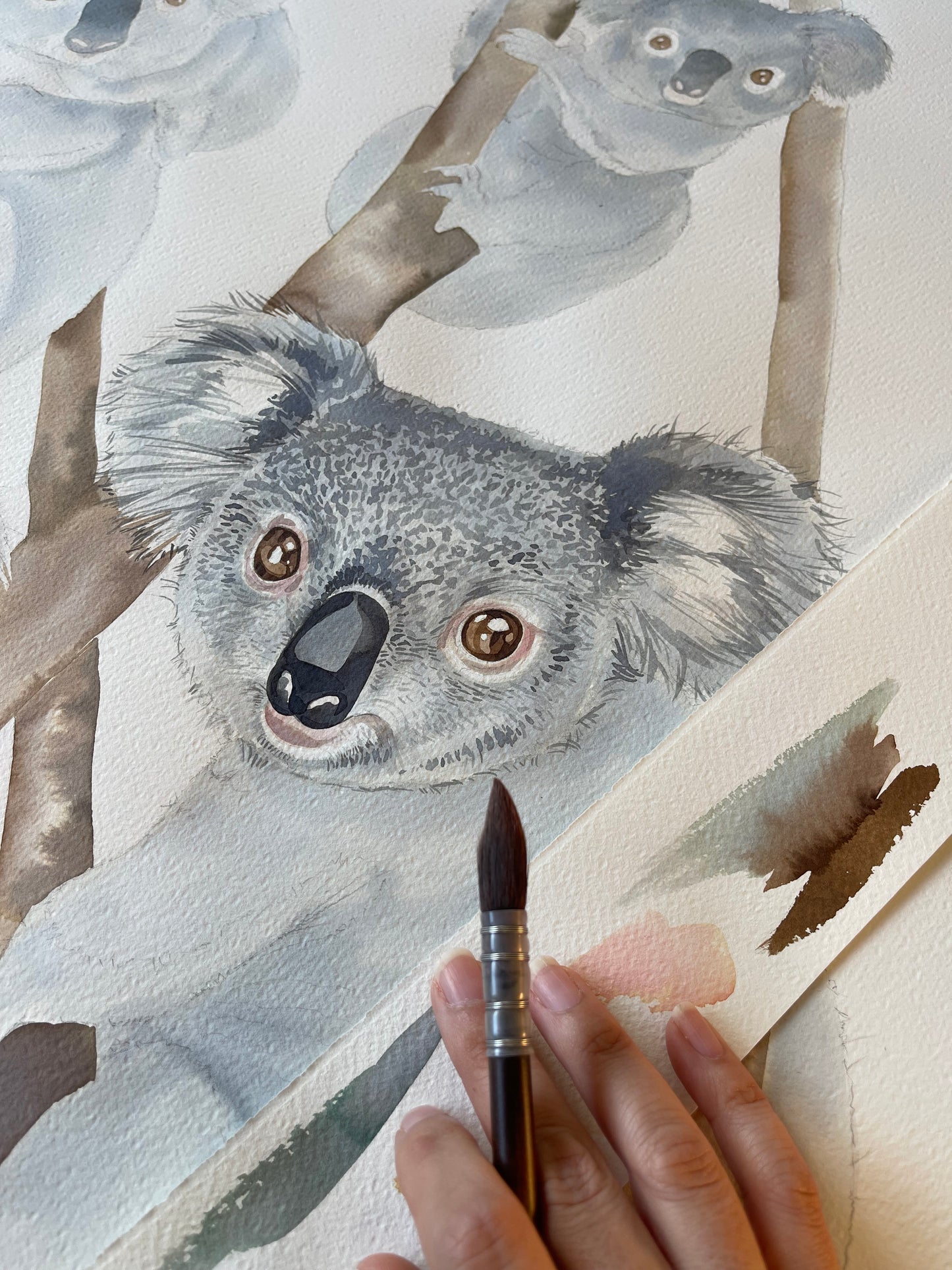 Koalas original watercolour illustration
