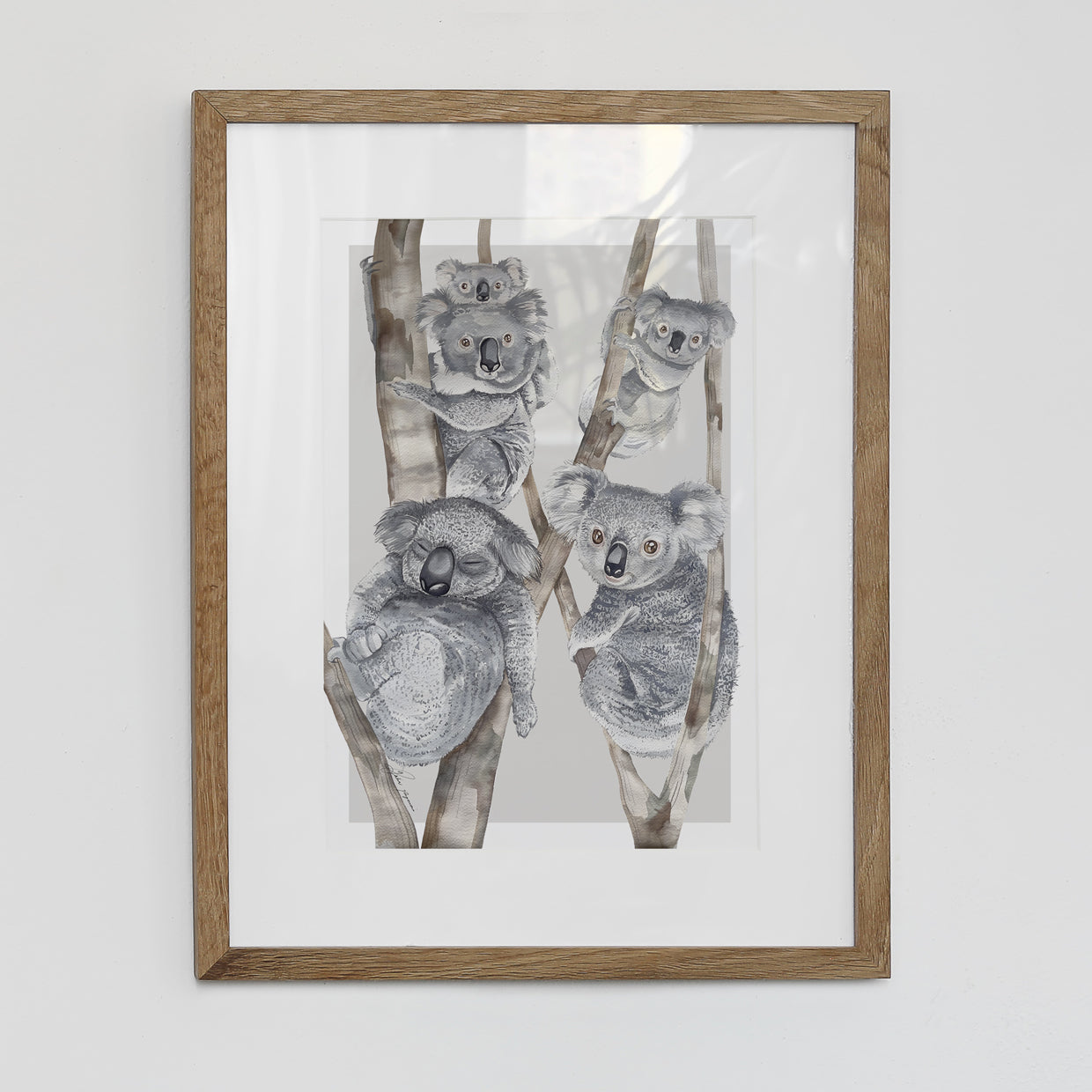 Koalas original watercolour illustration