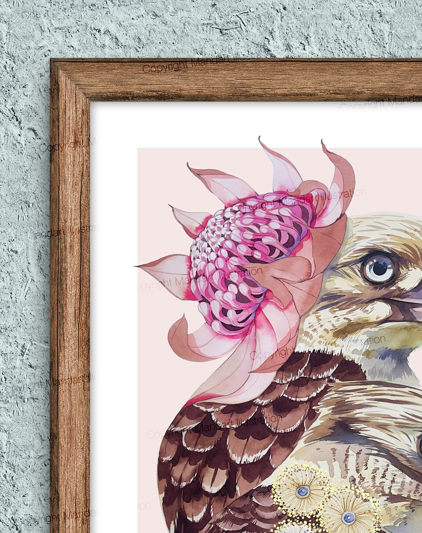 Twinning kookaburras original illustration