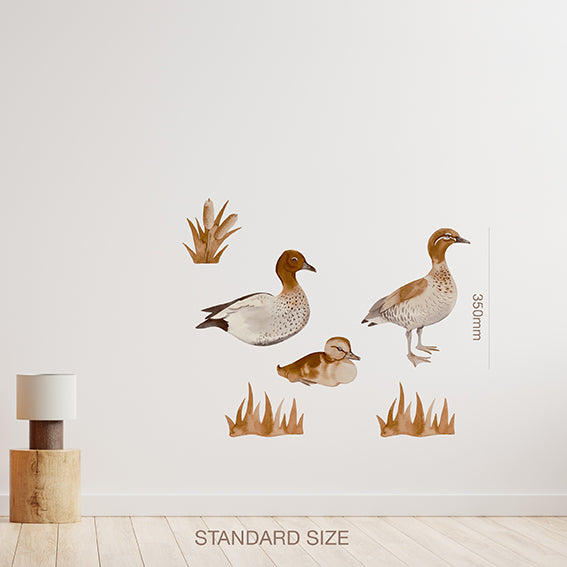 Australian wood duck wall decal