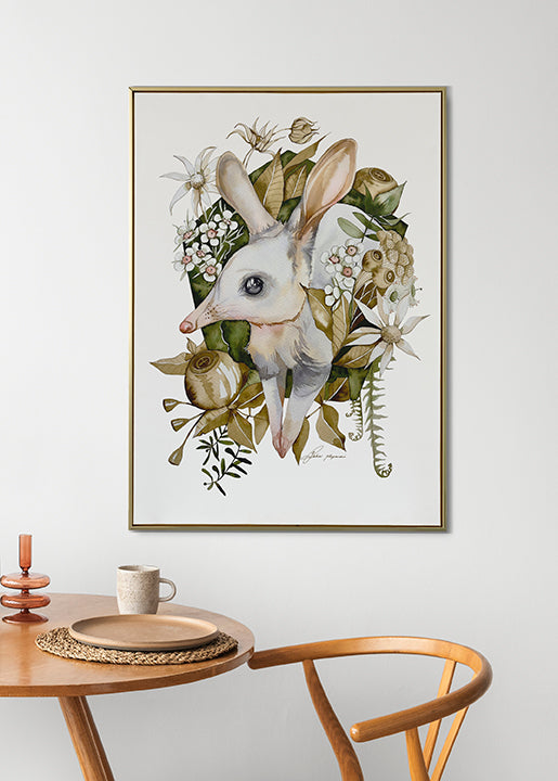 Bilby botanical watercolour illustration