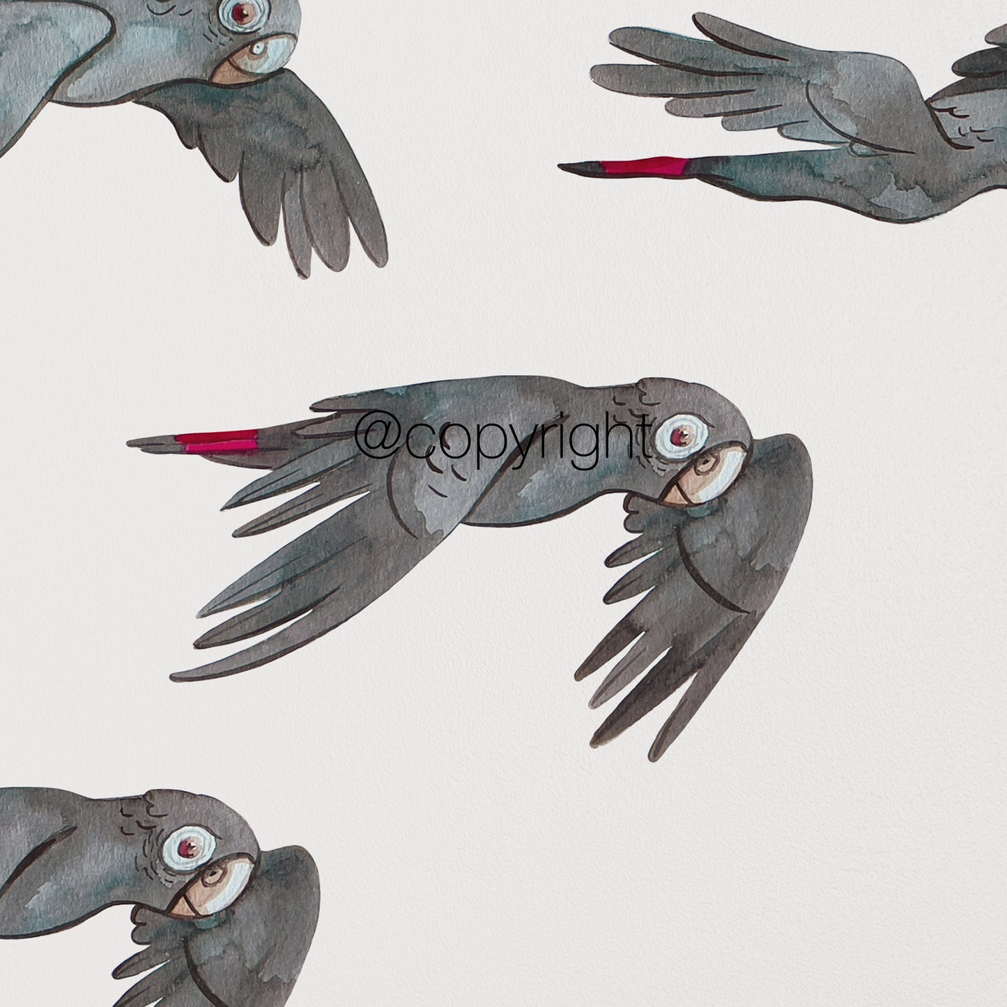 Flying black cockatoo wall decal