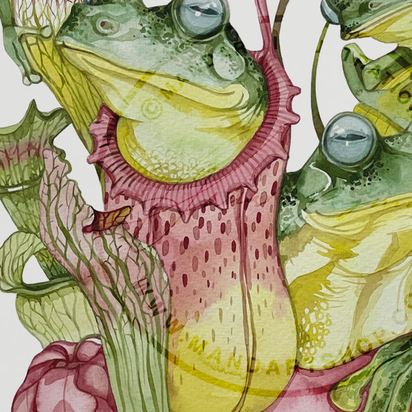 Four frogs watercolour original and prints