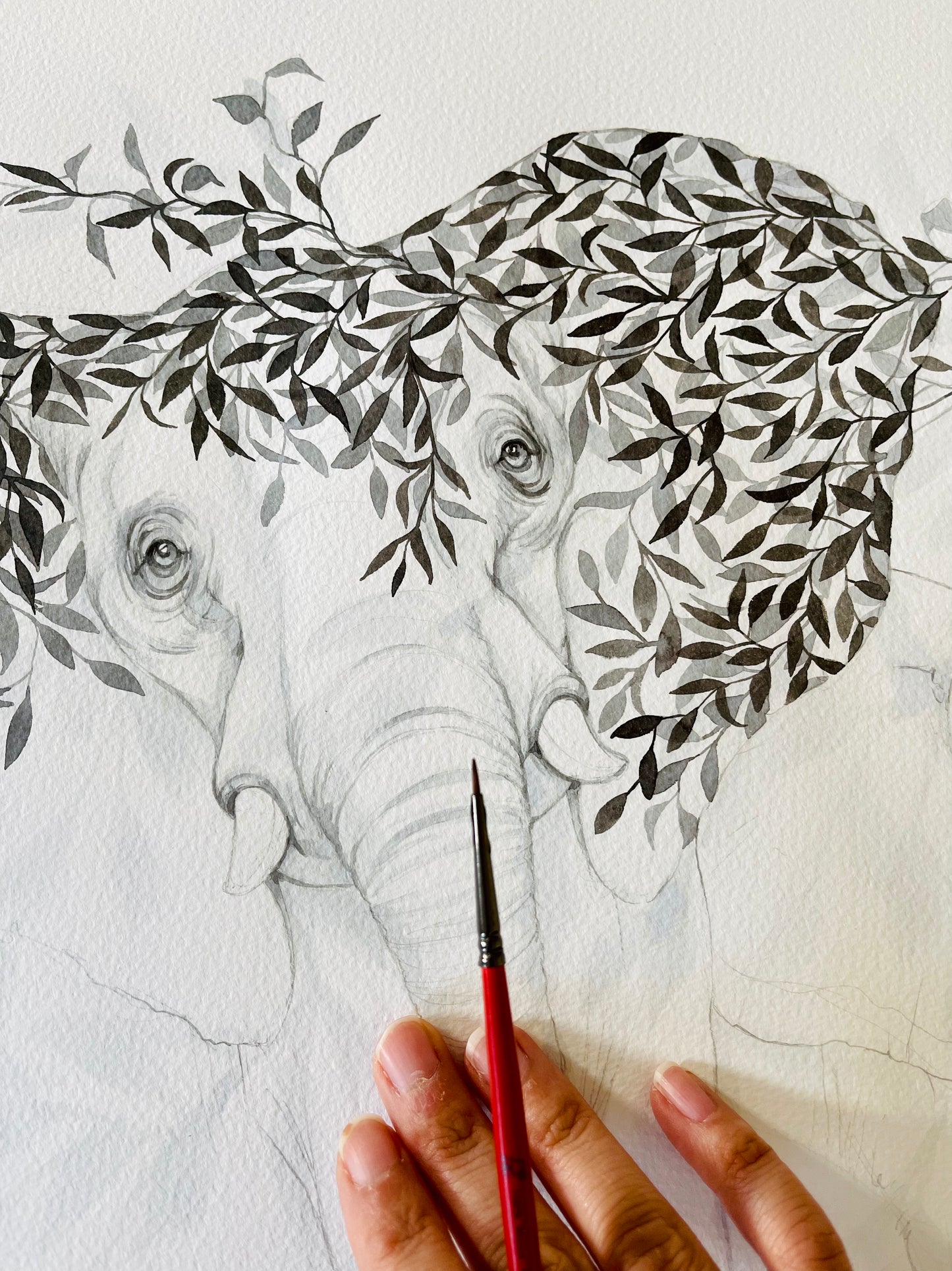 Elephant & Calf original pencil & ink illustration