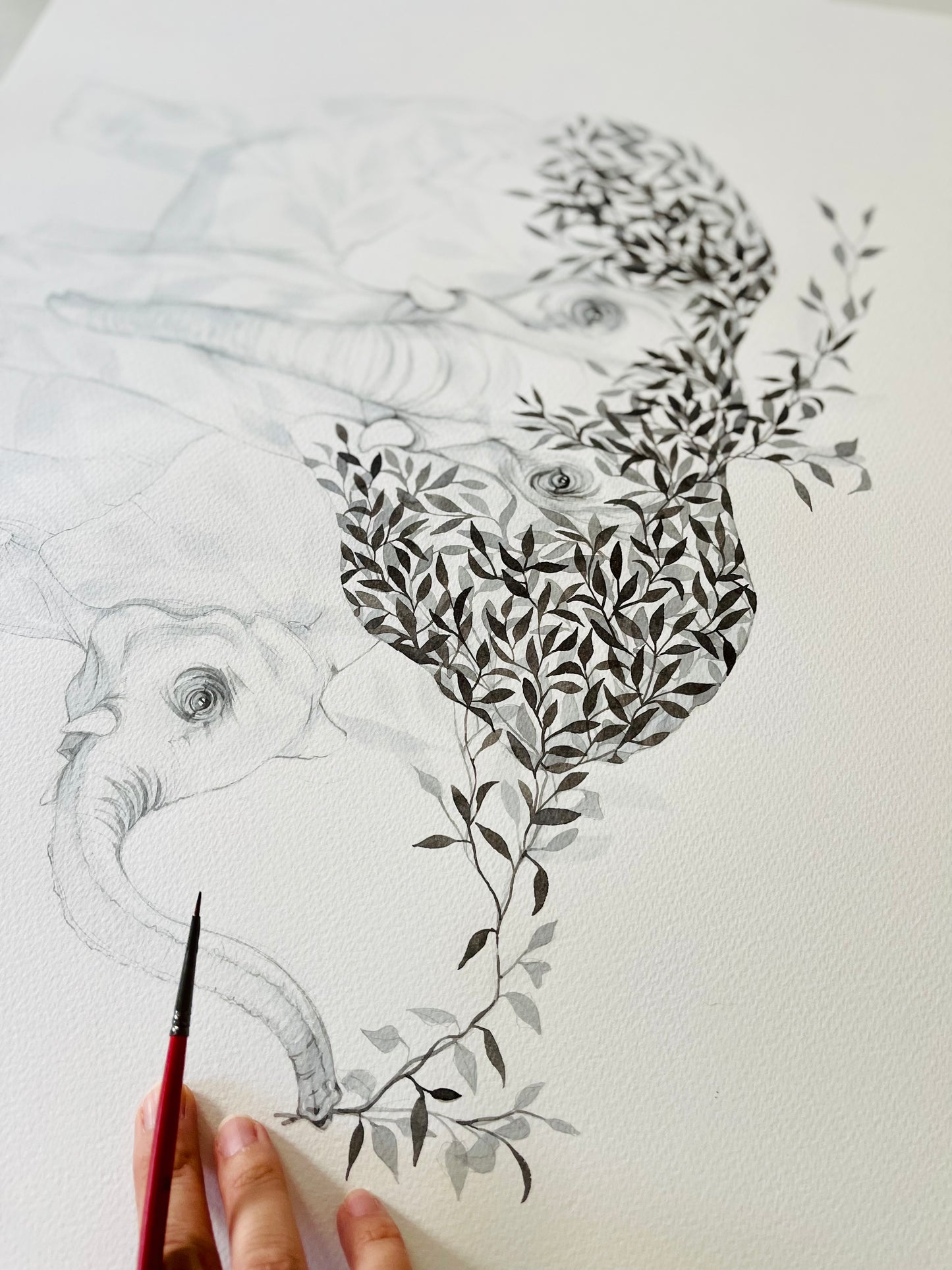 Elephant & Calf original pencil & ink illustration