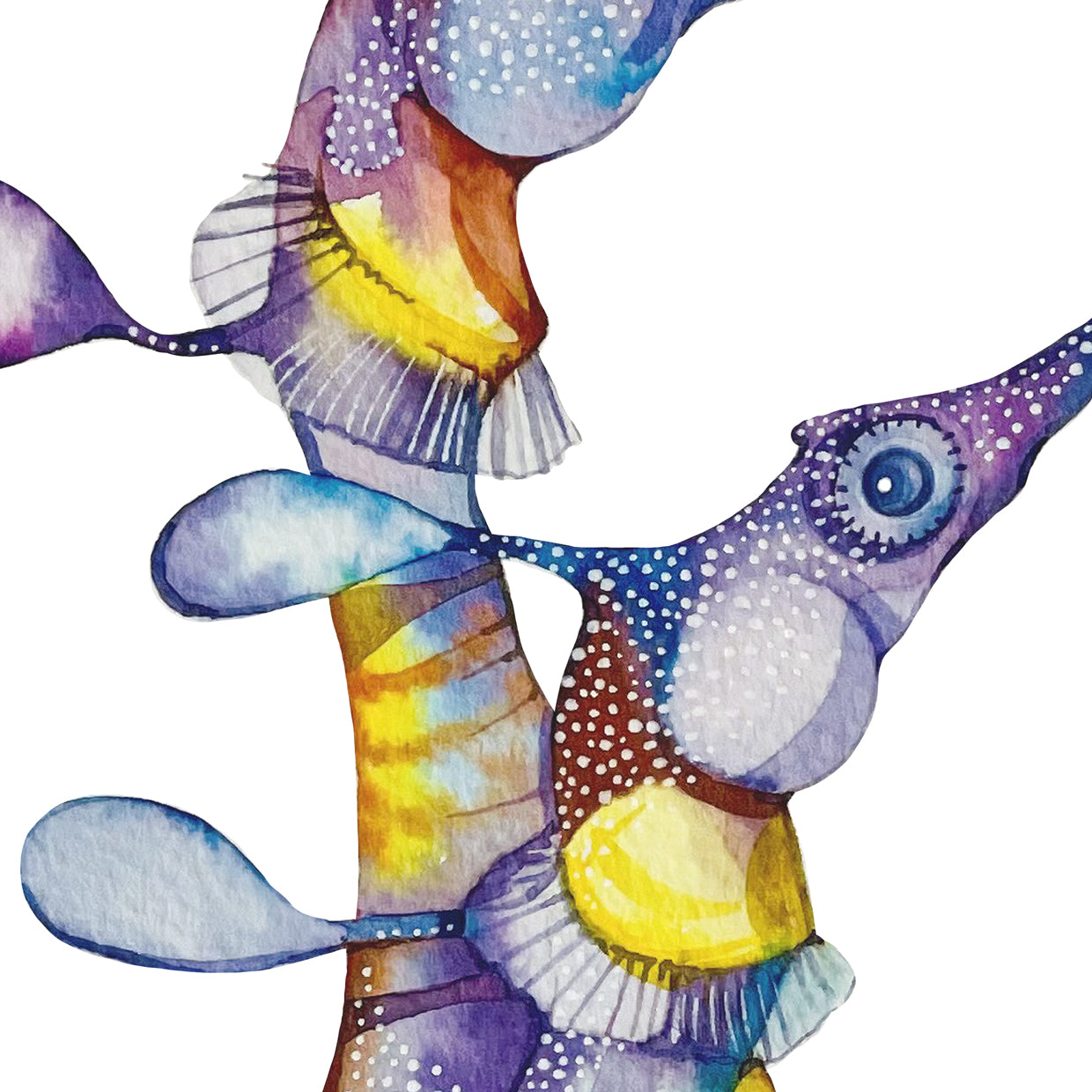 Weedy sea dragons watercolour print