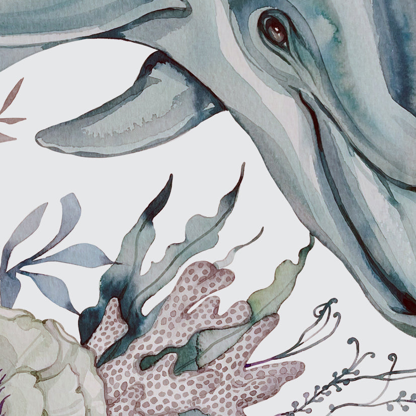 Mandurah dolphin watercolour print
