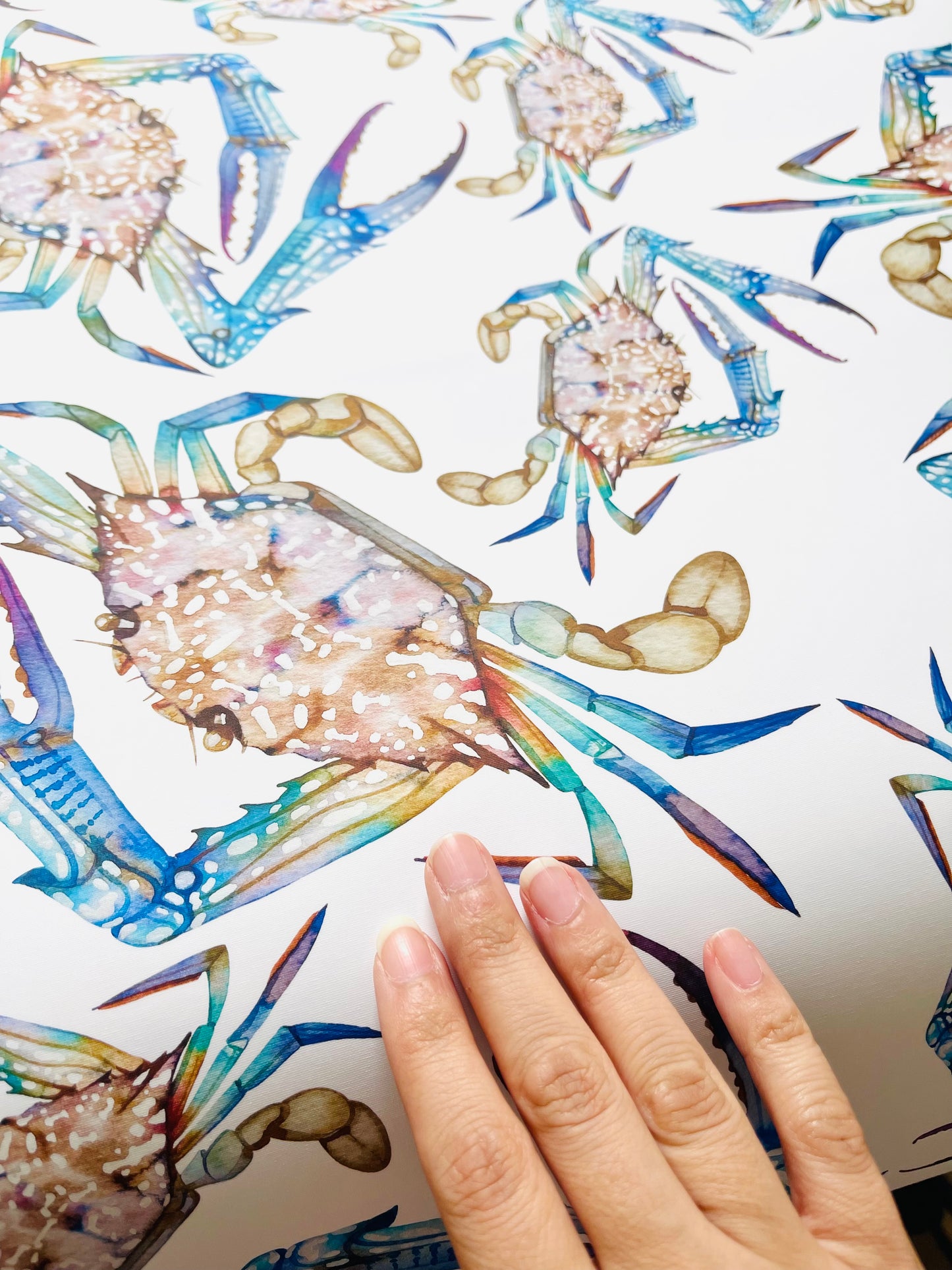 Two salty crabs wall decal