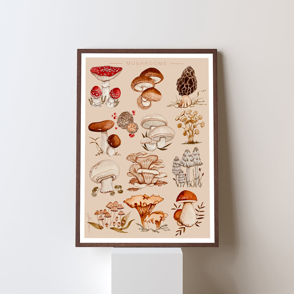 Mushrooms watercolour print